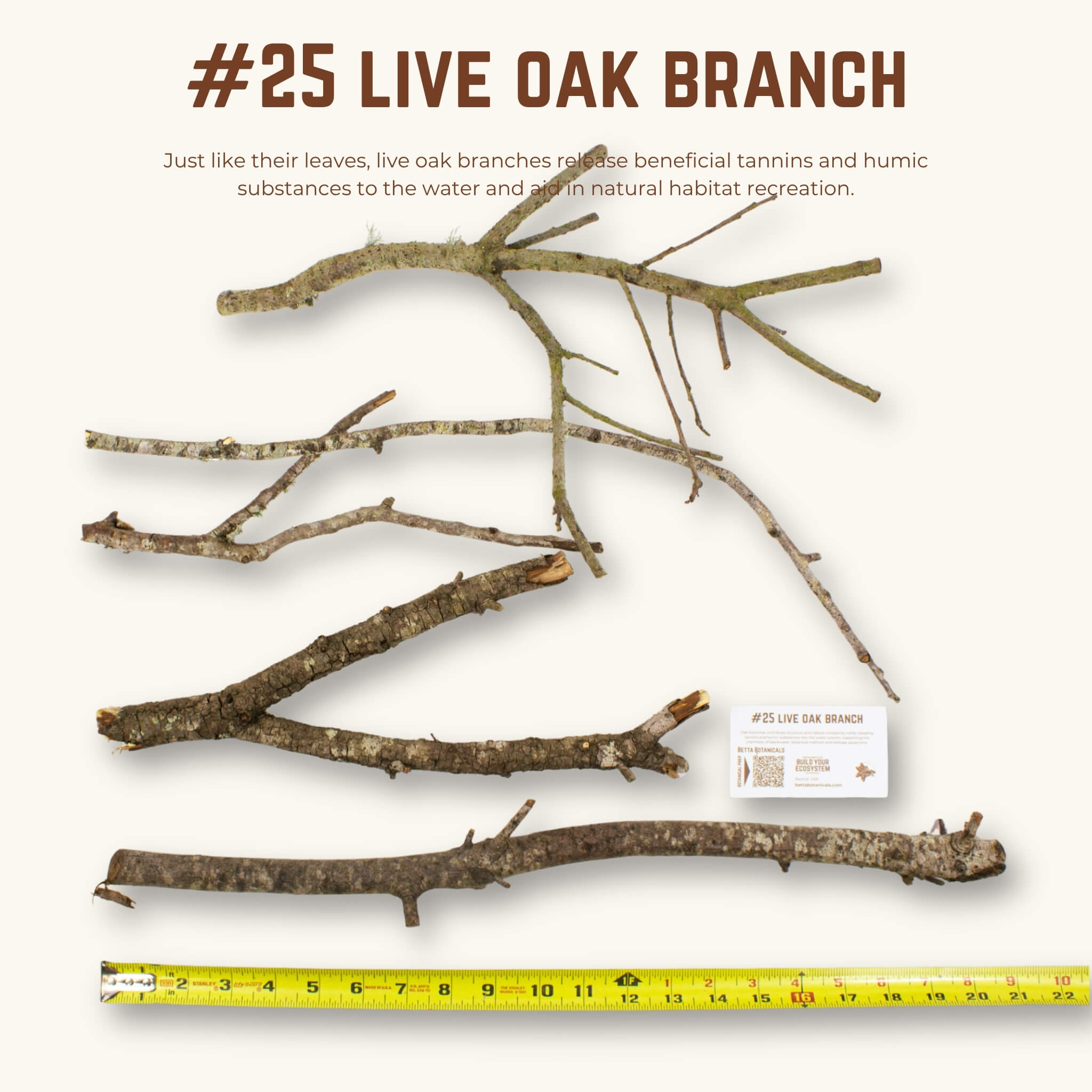 Live Oak Branches | WYSIWYG Pieces