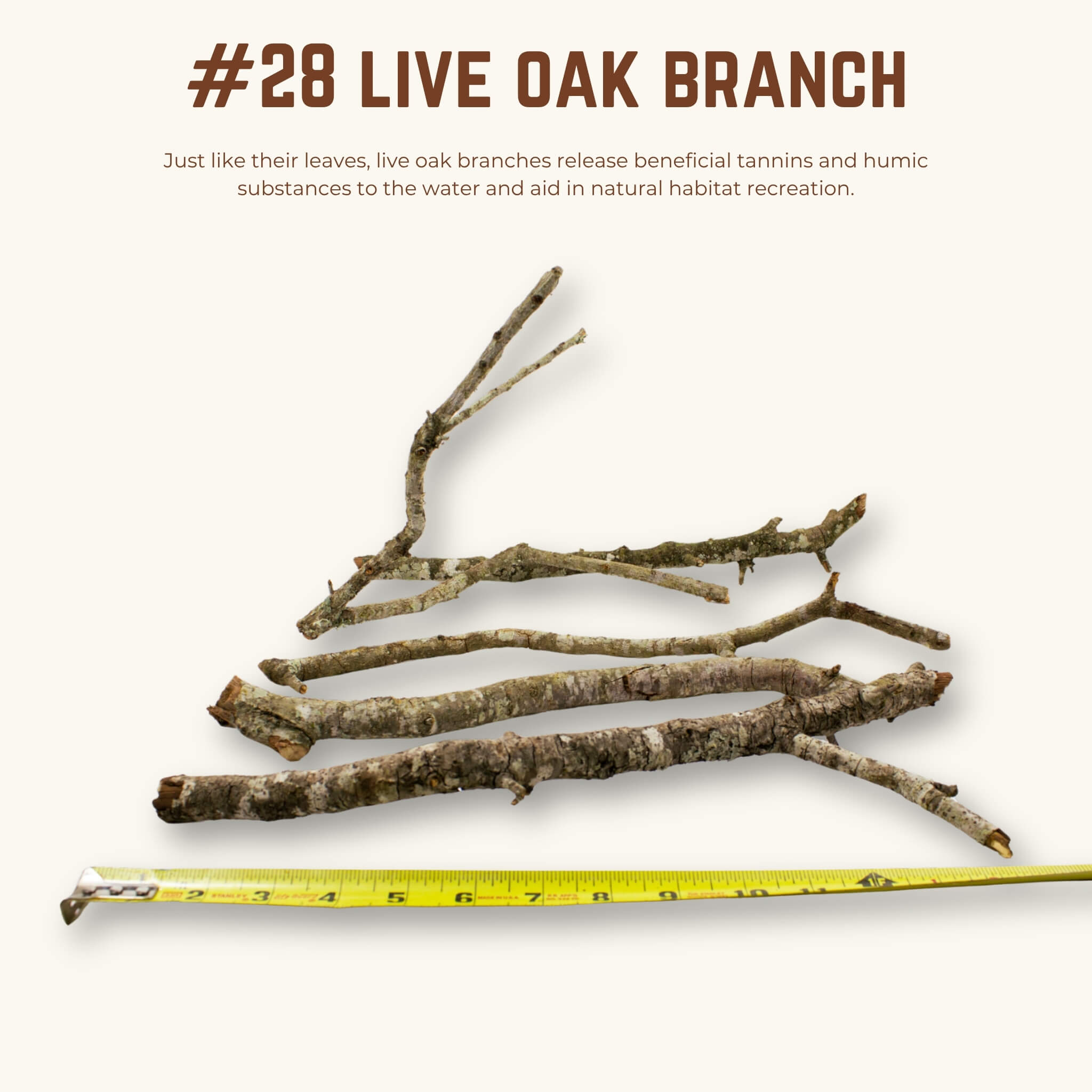 Live Oak Branches | WYSIWYG Pieces