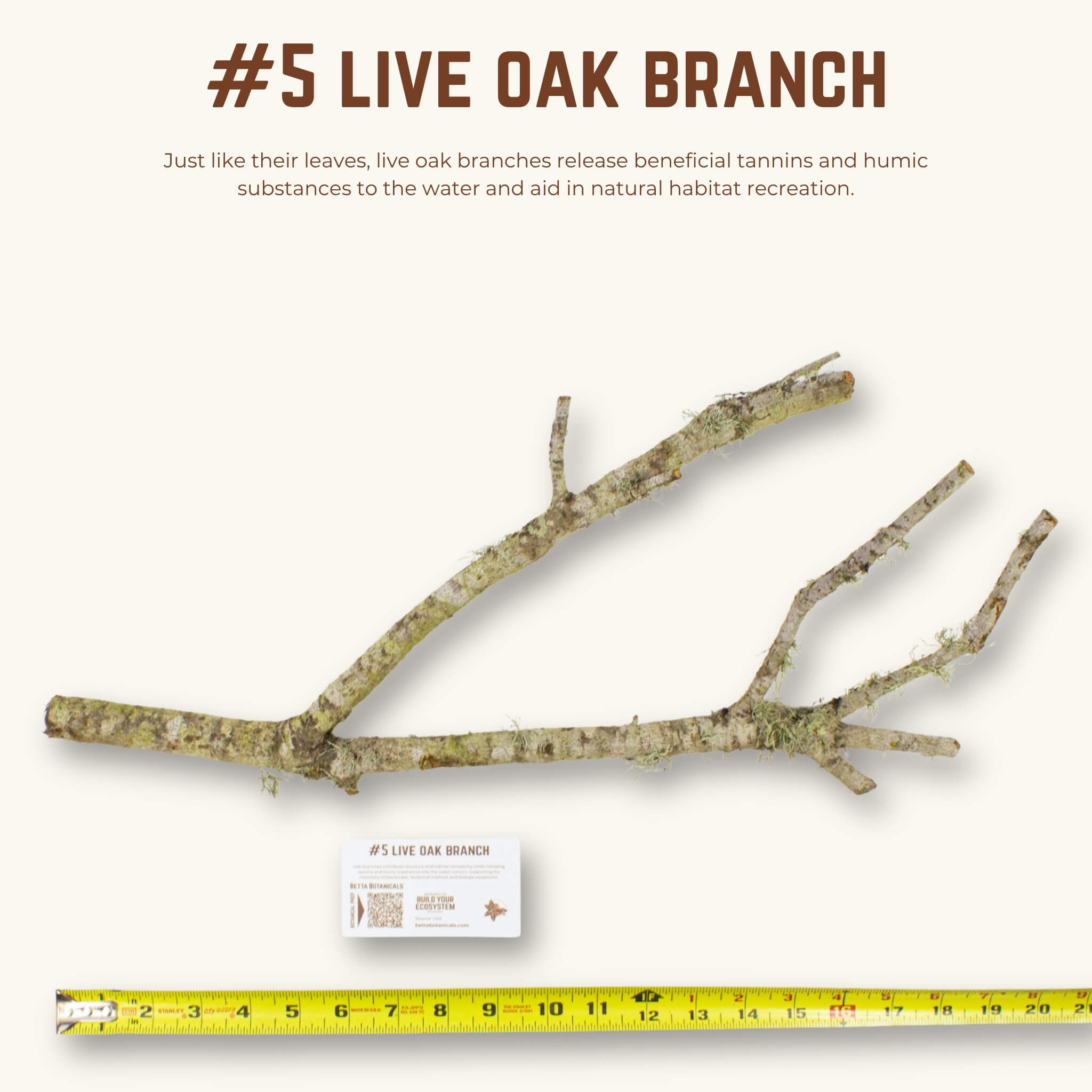 Live Oak Branches | WYSIWYG Pieces