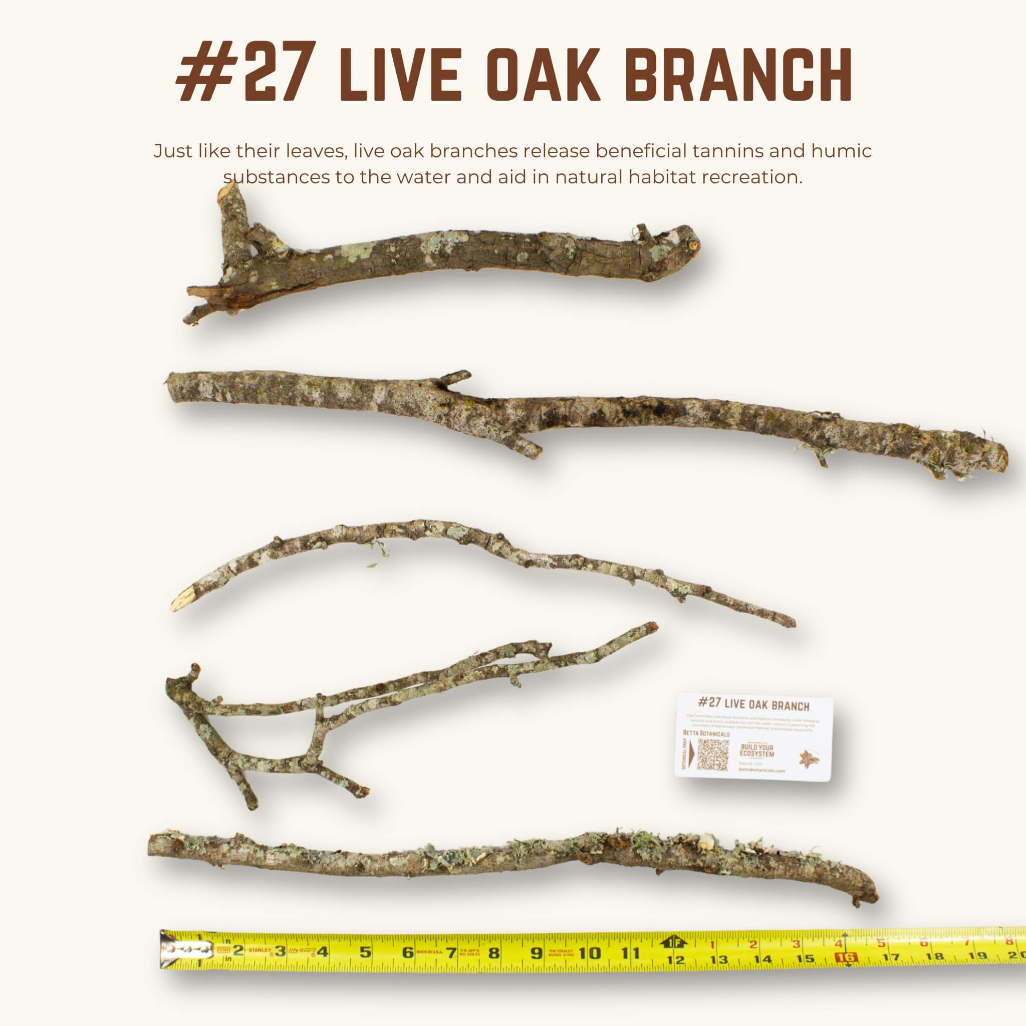 Live Oak Branches | WYSIWYG Pieces