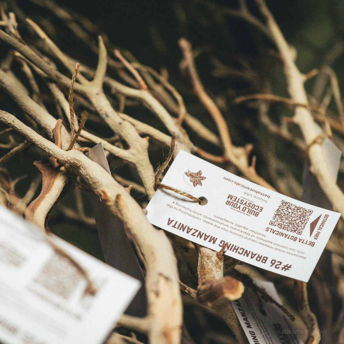 Pale tan manzanita branches with forked, smooth surfaces stacked together and tied with jute twine to white paper tags labeled “Branching Manzanita,” a botanical hardscape for blackwater aquariums, photographed on a wood shelf by Paul Kalifatidi for Betta Botanicals.