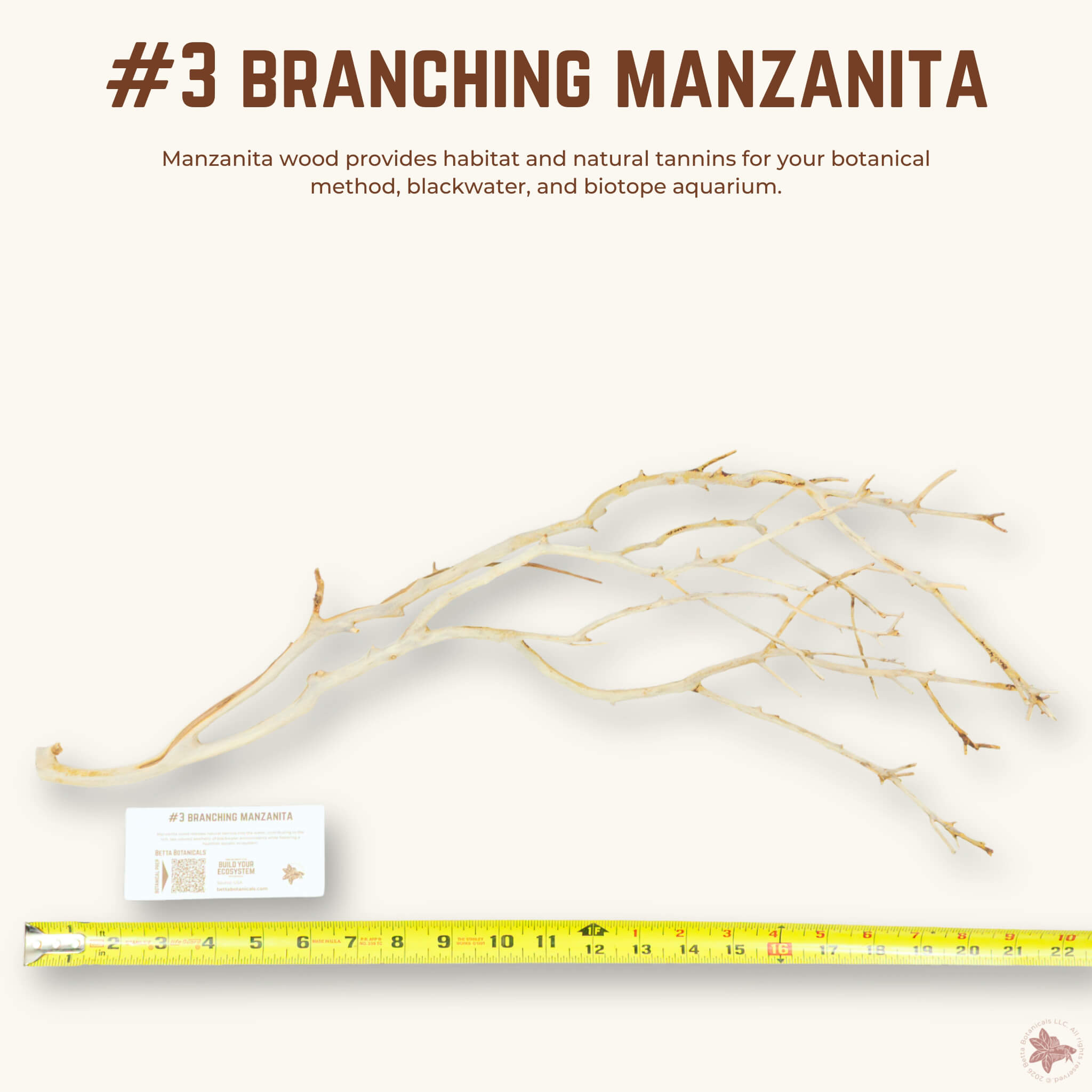 Branching Manzanita | WYSIWYG Pieces