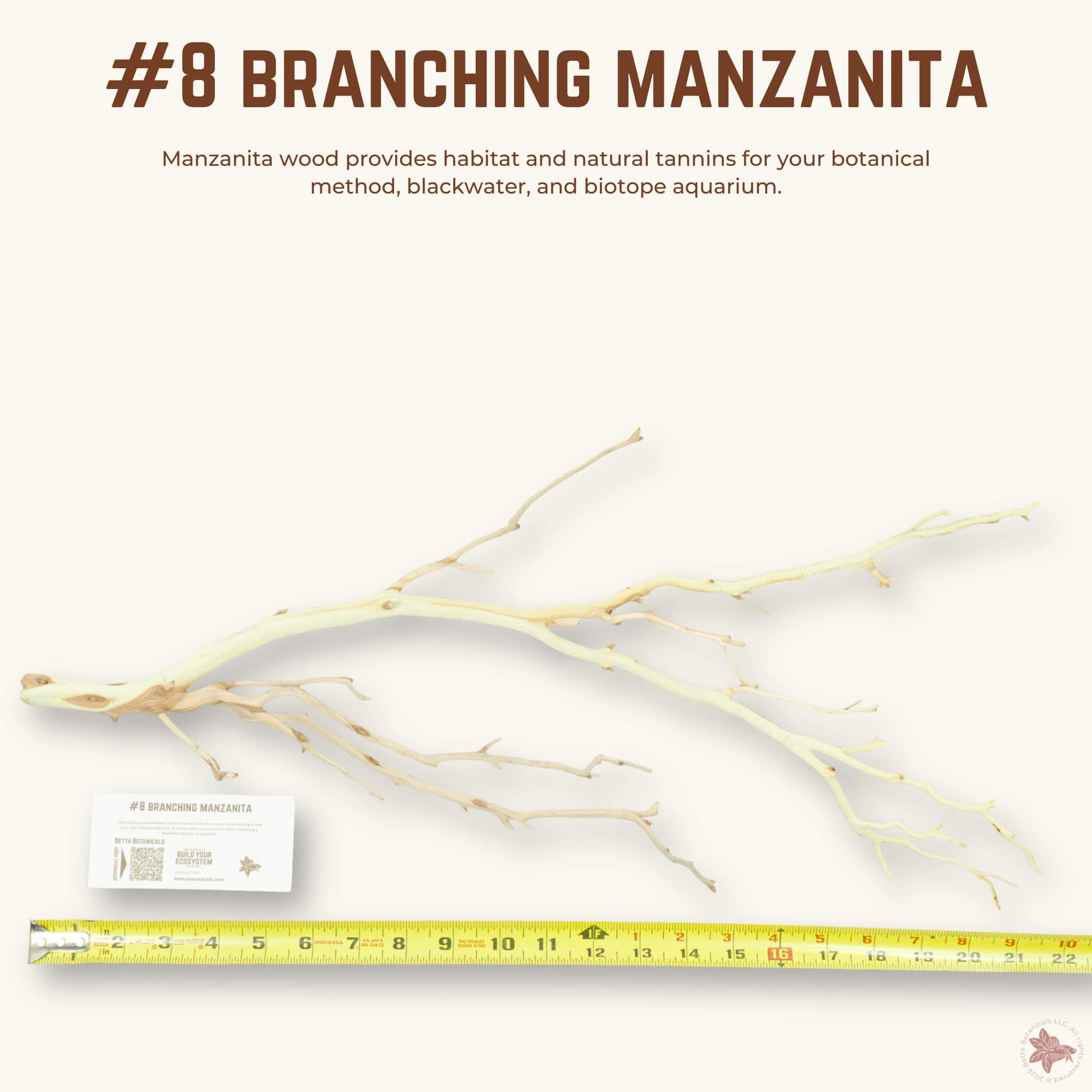Branching Manzanita | WYSIWYG Pieces
