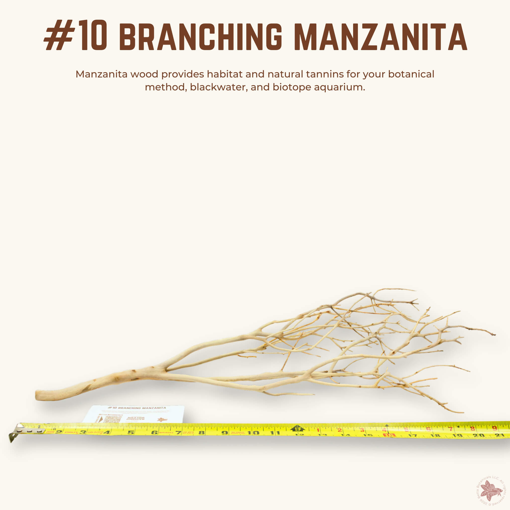 Branching Manzanita | WYSIWYG Pieces