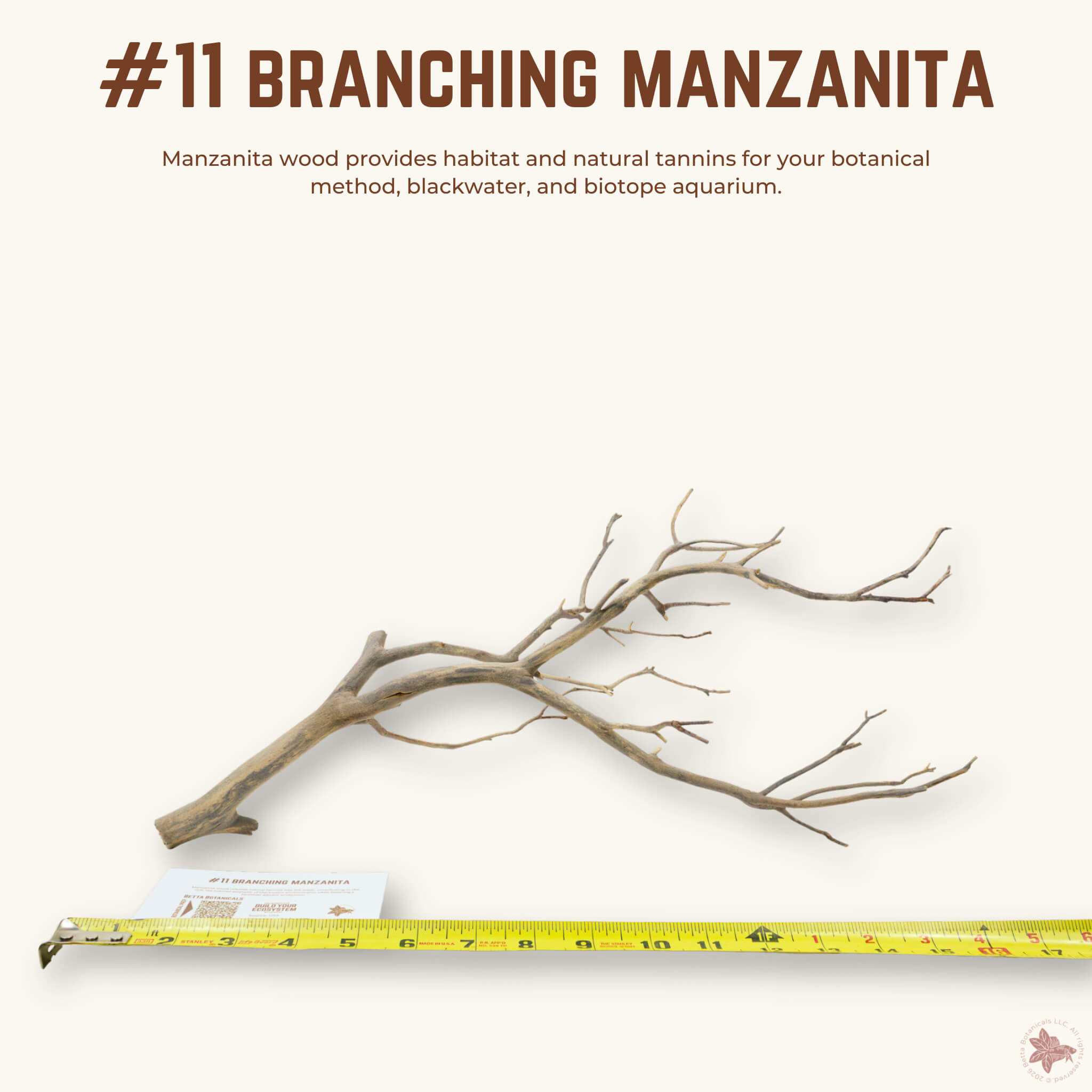 Branching Manzanita | WYSIWYG Pieces