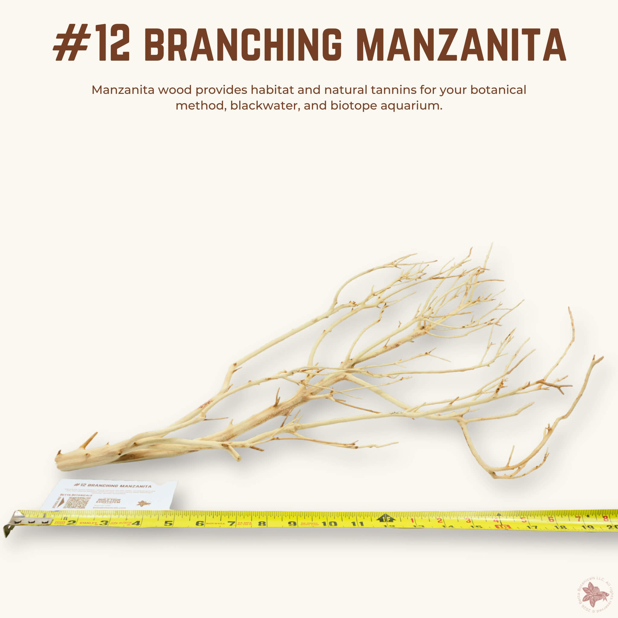 Branching Manzanita | WYSIWYG Pieces