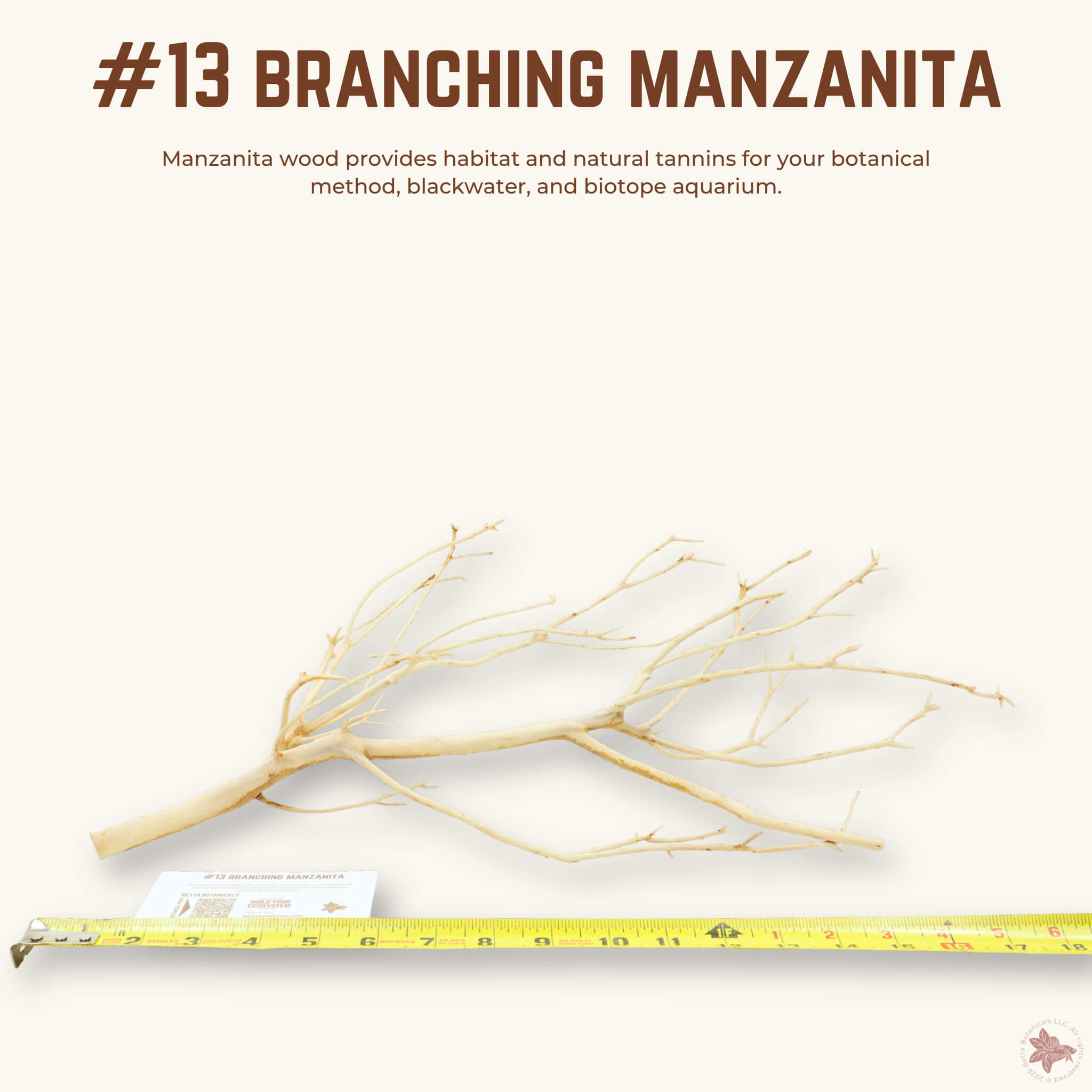 Branching Manzanita | WYSIWYG Pieces