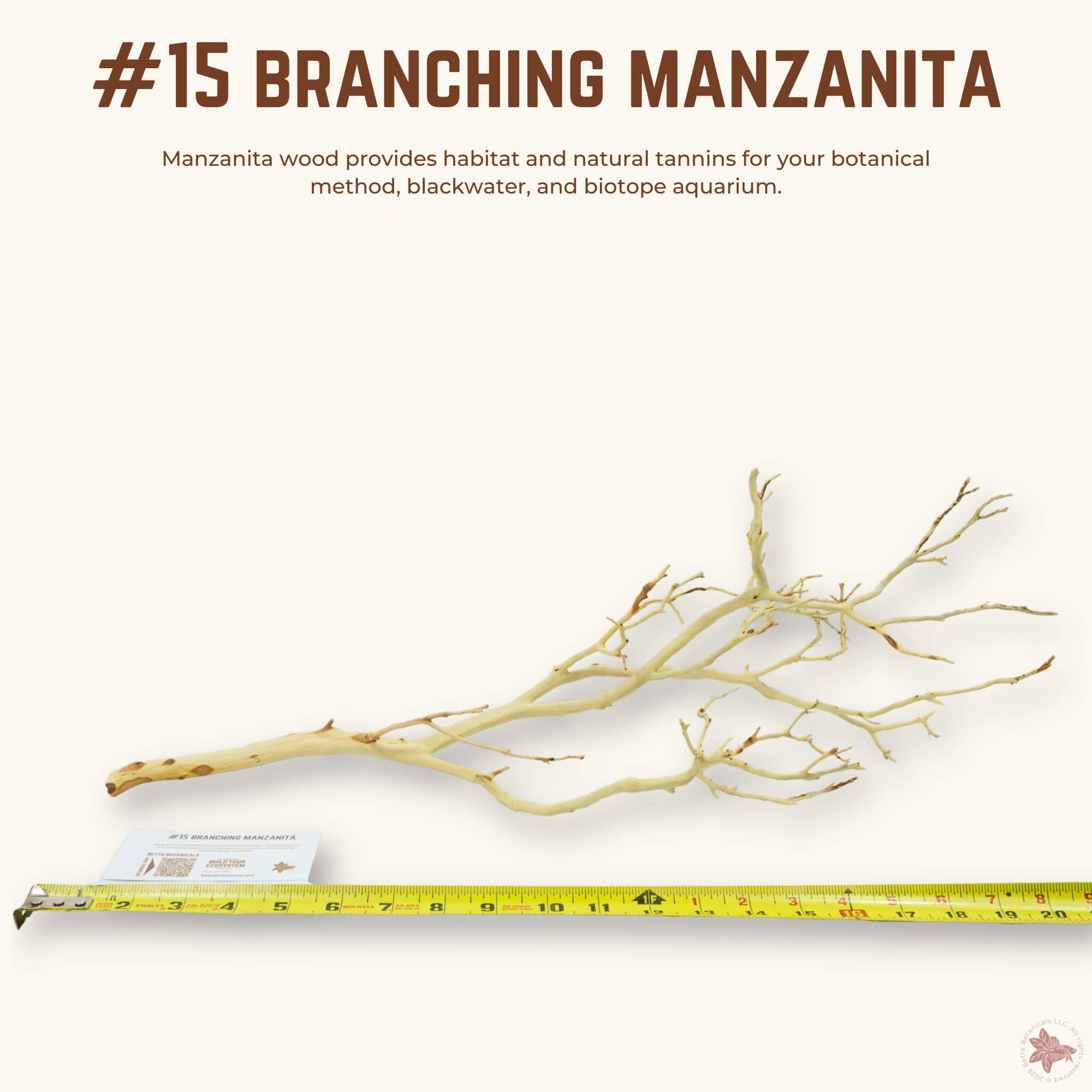 Branching Manzanita | WYSIWYG Pieces