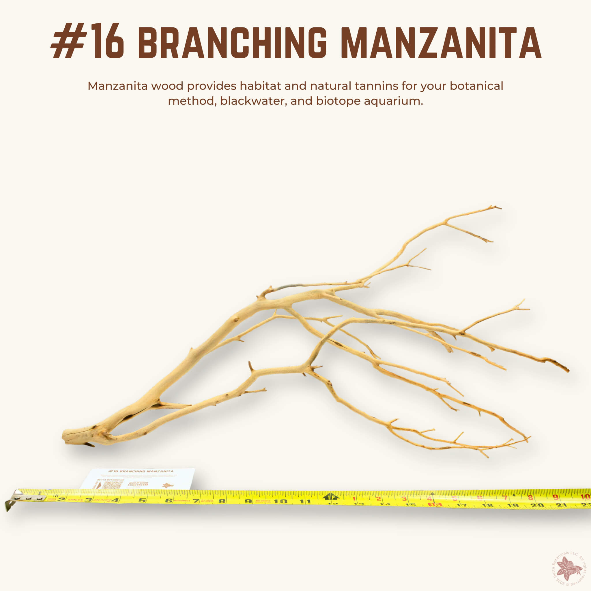 Branching Manzanita | WYSIWYG Pieces