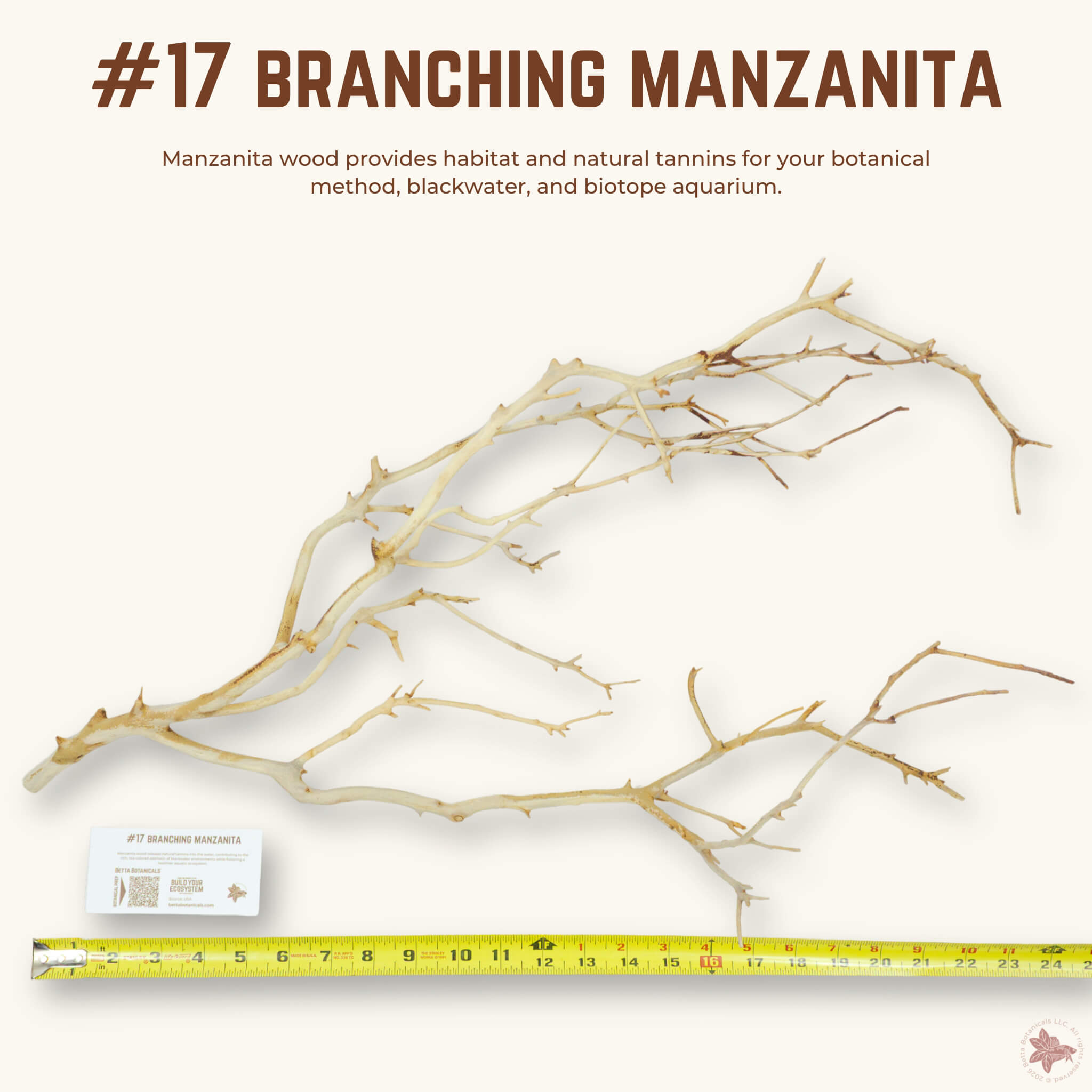Branching Manzanita | WYSIWYG Pieces