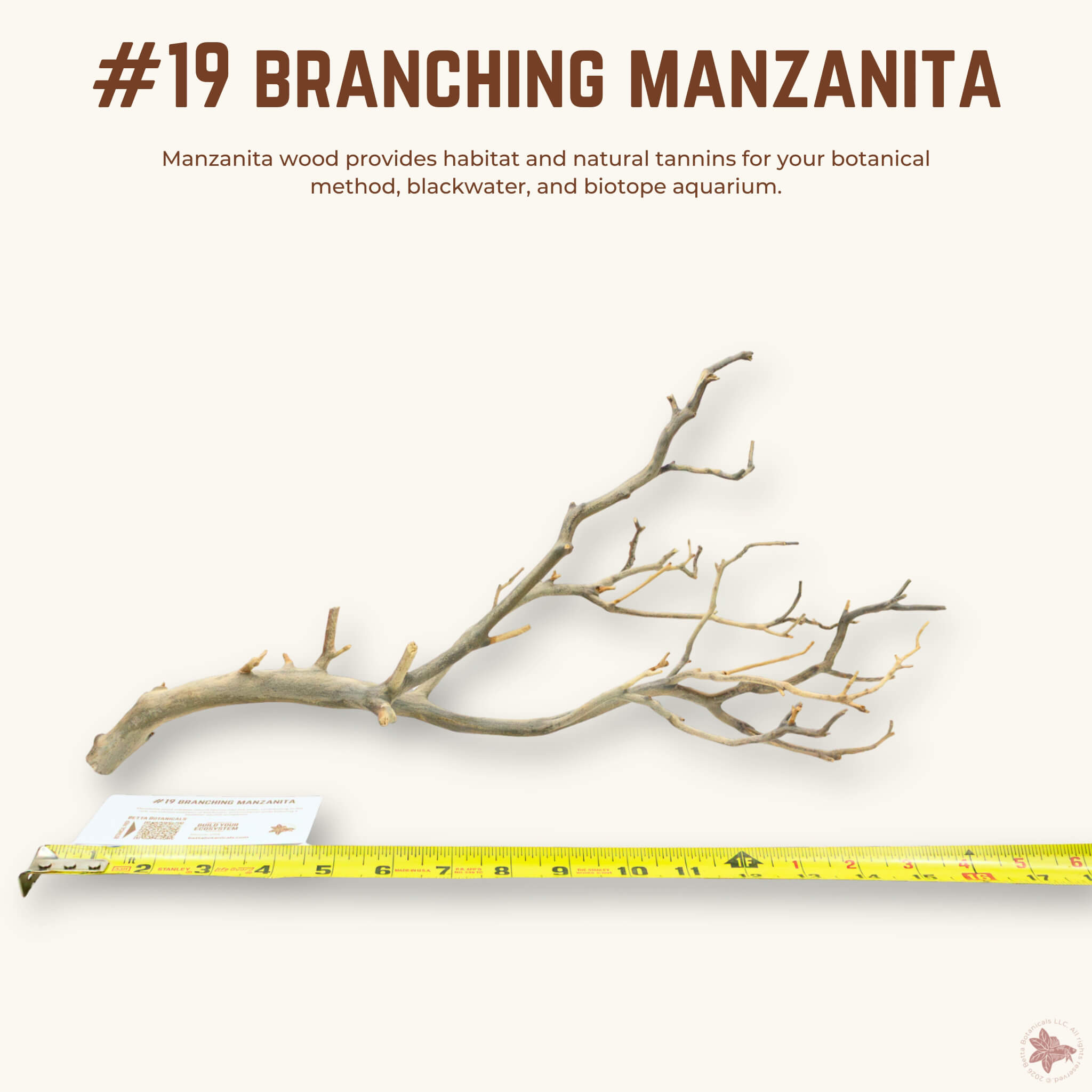 Branching Manzanita | WYSIWYG Pieces