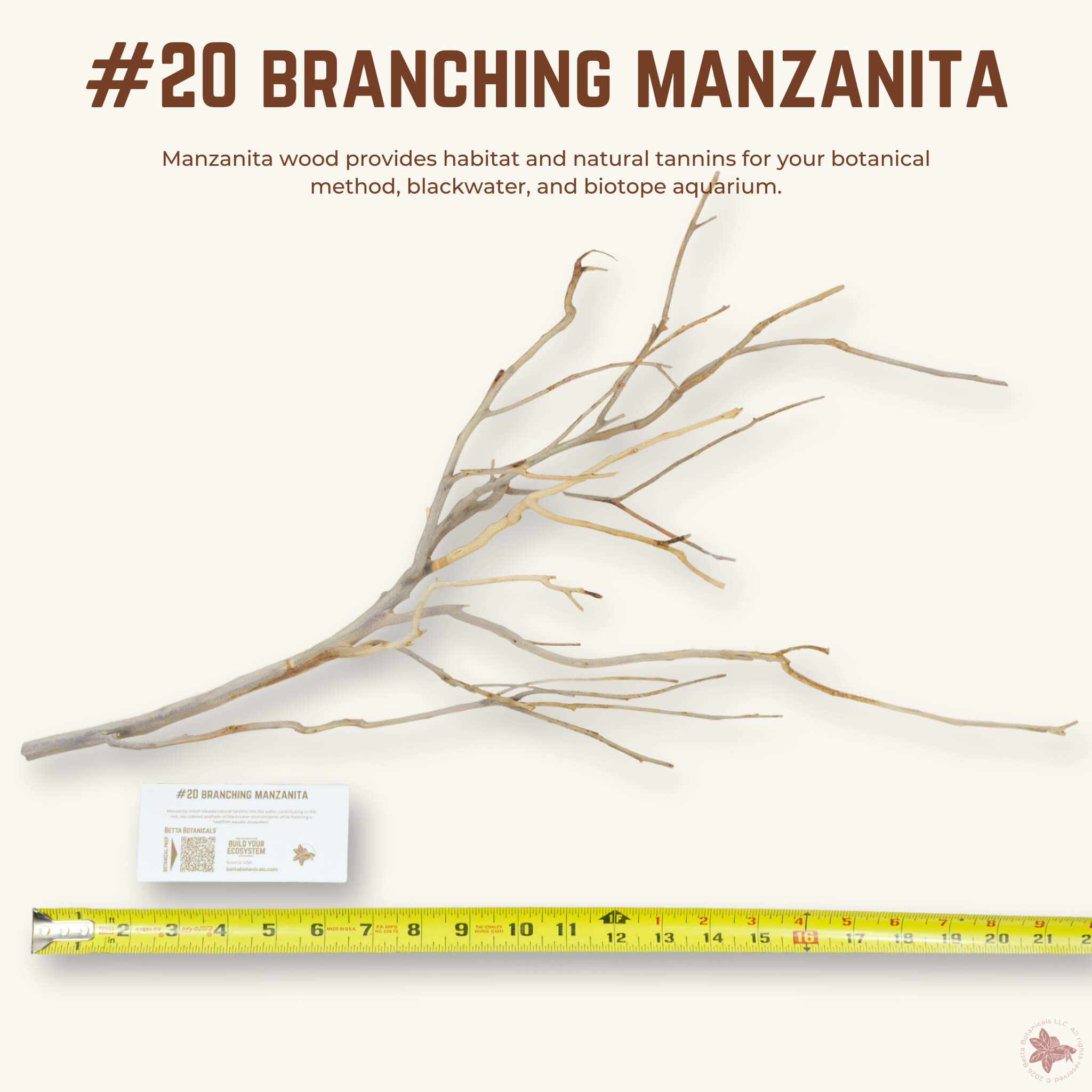 Branching Manzanita | WYSIWYG Pieces
