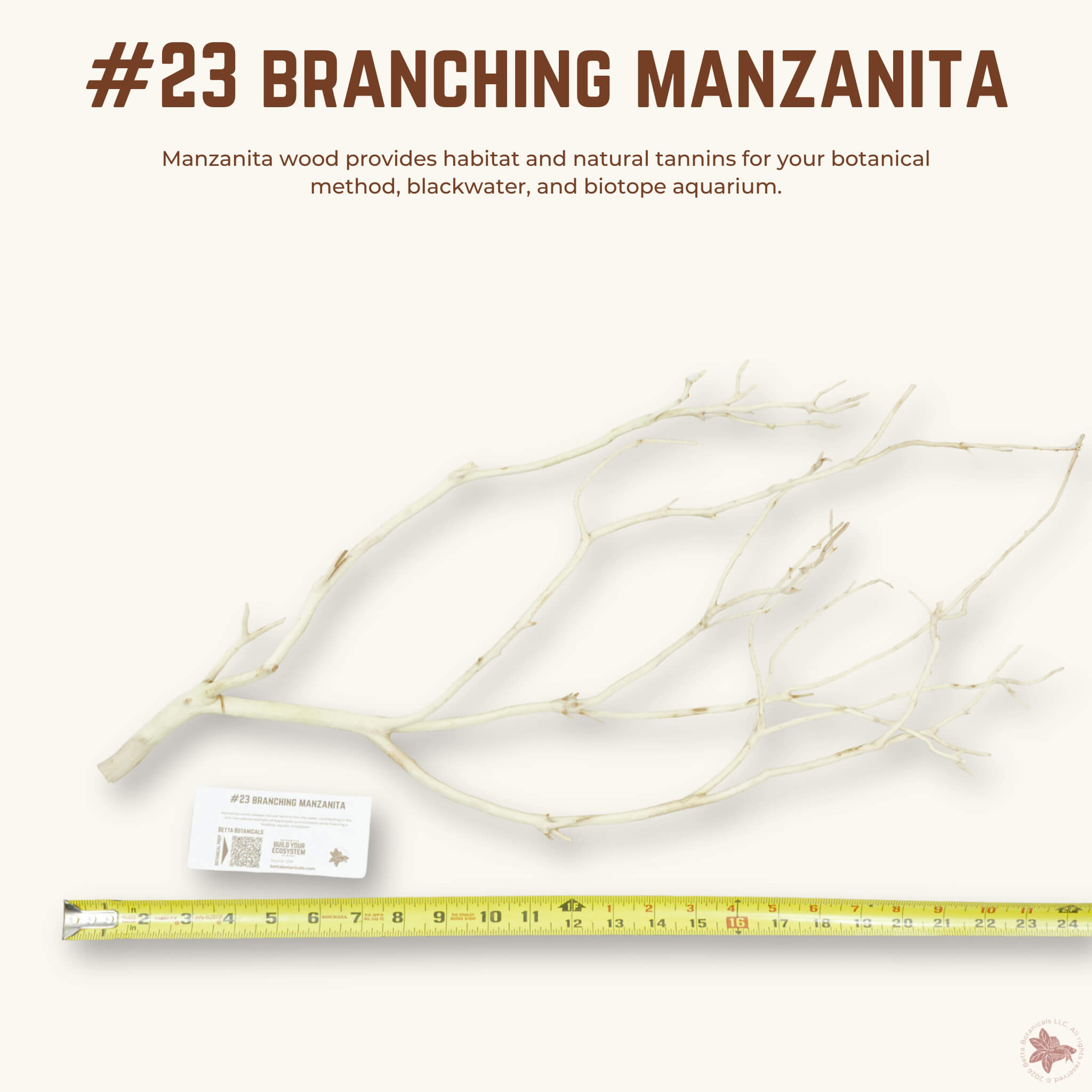 Branching Manzanita | WYSIWYG Pieces