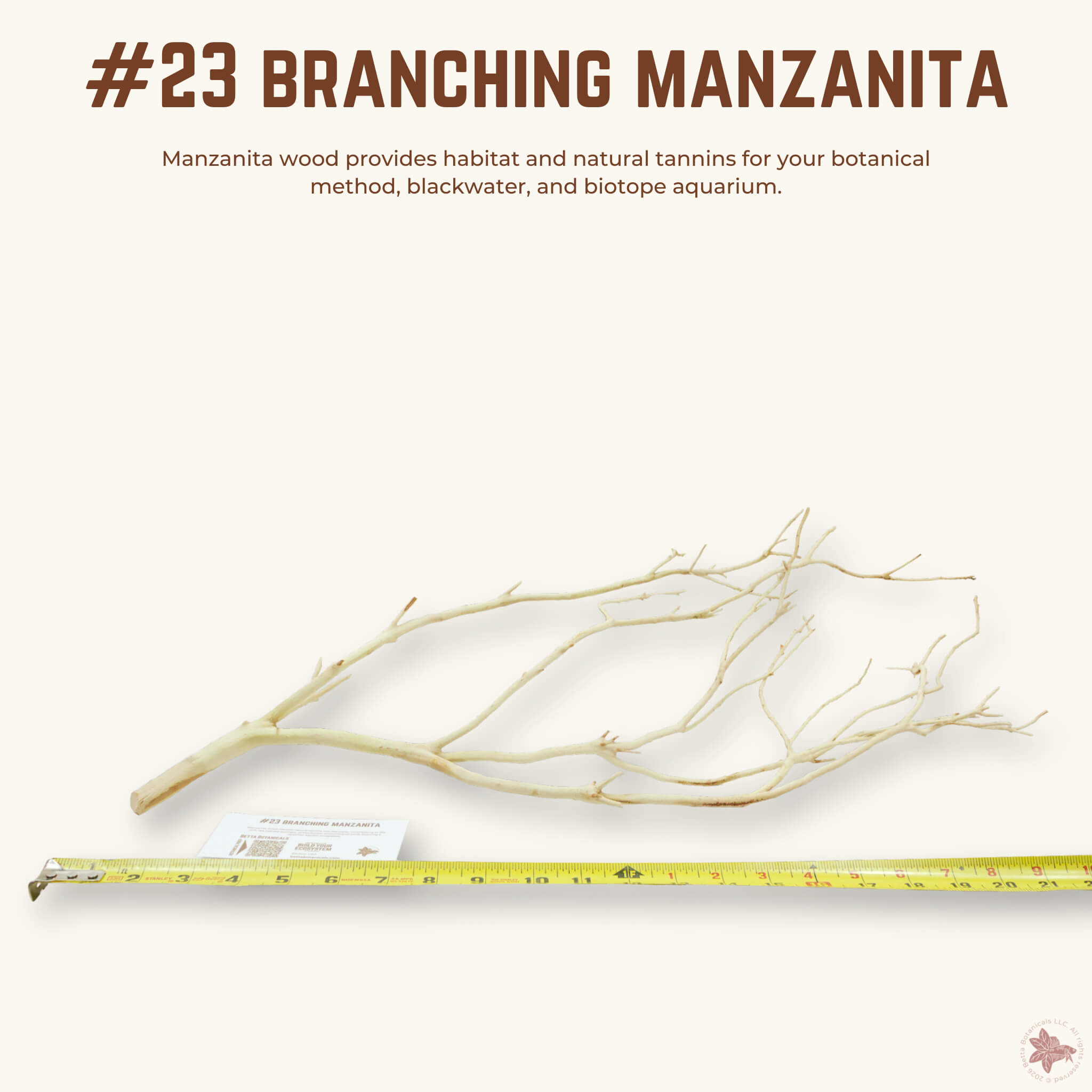 Branching Manzanita | WYSIWYG Pieces