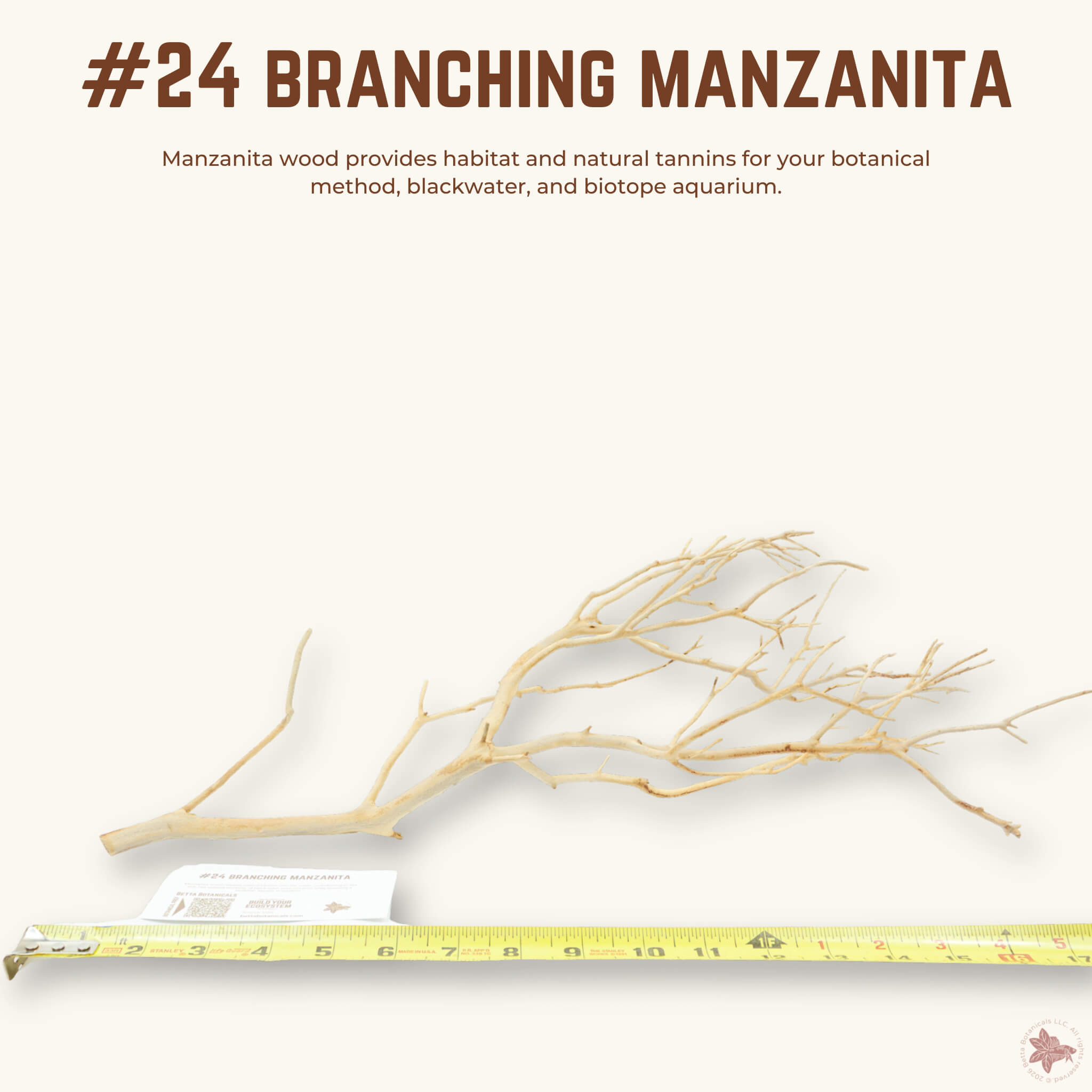 Branching Manzanita | WYSIWYG Pieces