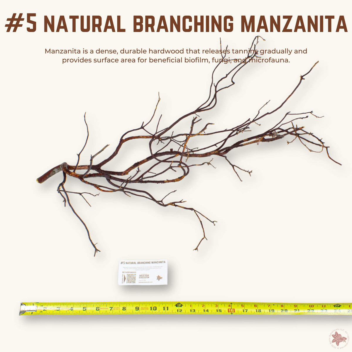 Natural Branching Manzanita | WYSIWYG Pieces