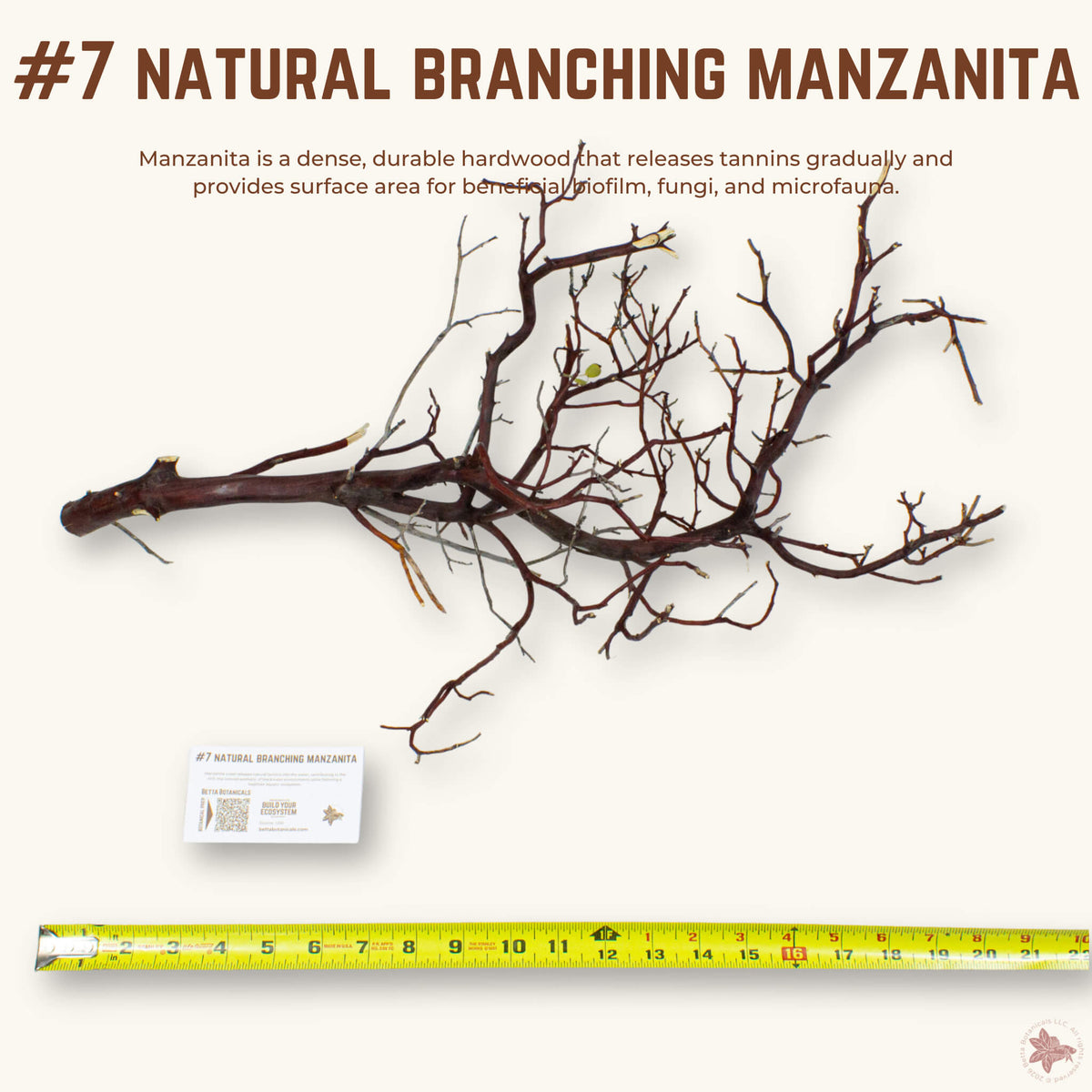 Natural Branching Manzanita | WYSIWYG Pieces