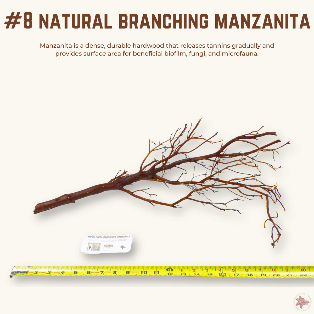 Natural Branching Manzanita | WYSIWYG Pieces