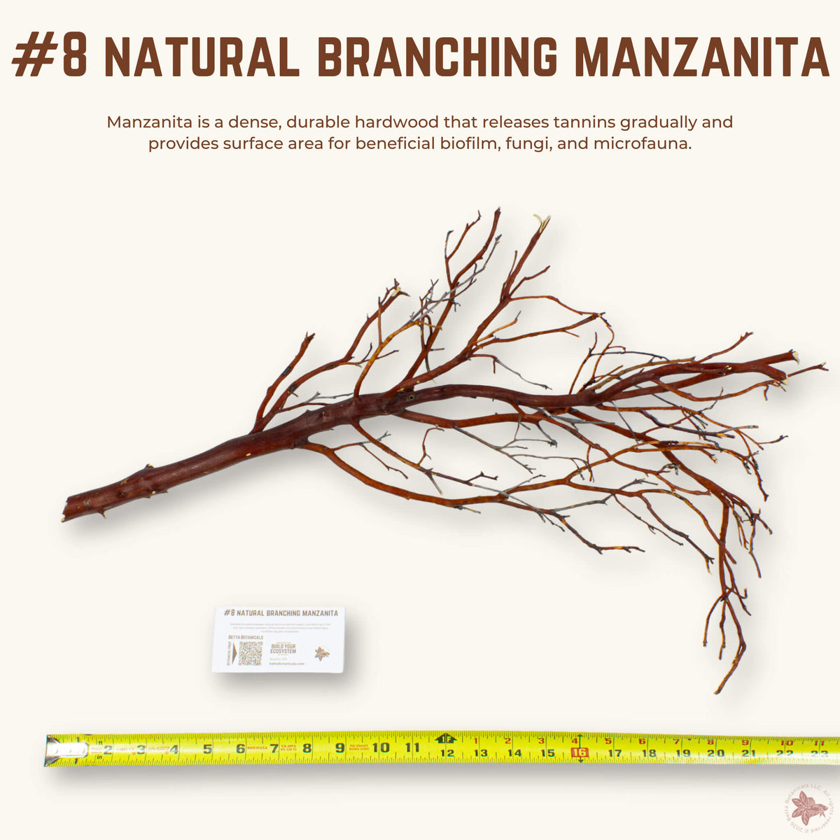 Natural Branching Manzanita | WYSIWYG Pieces