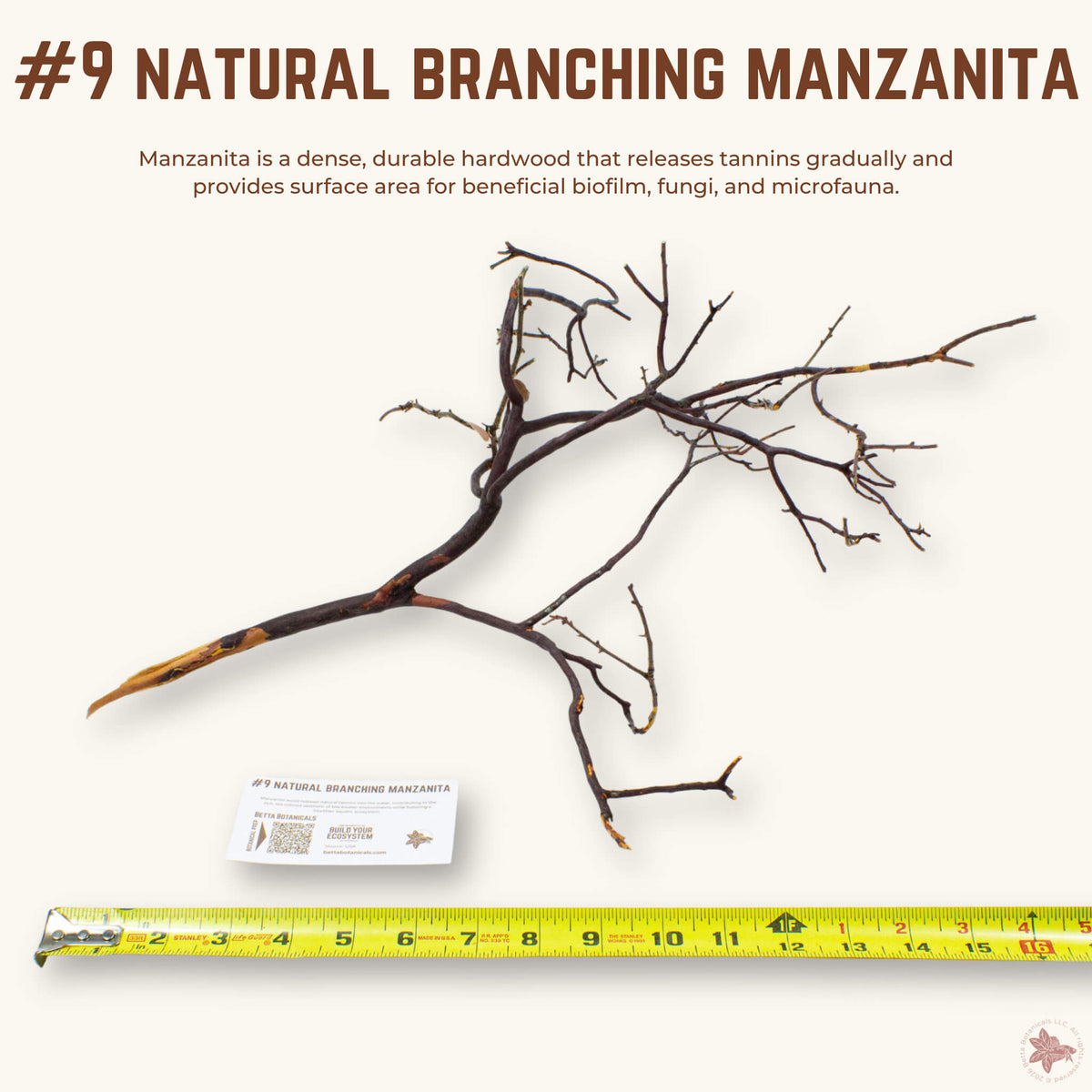 Natural Branching Manzanita | WYSIWYG Pieces