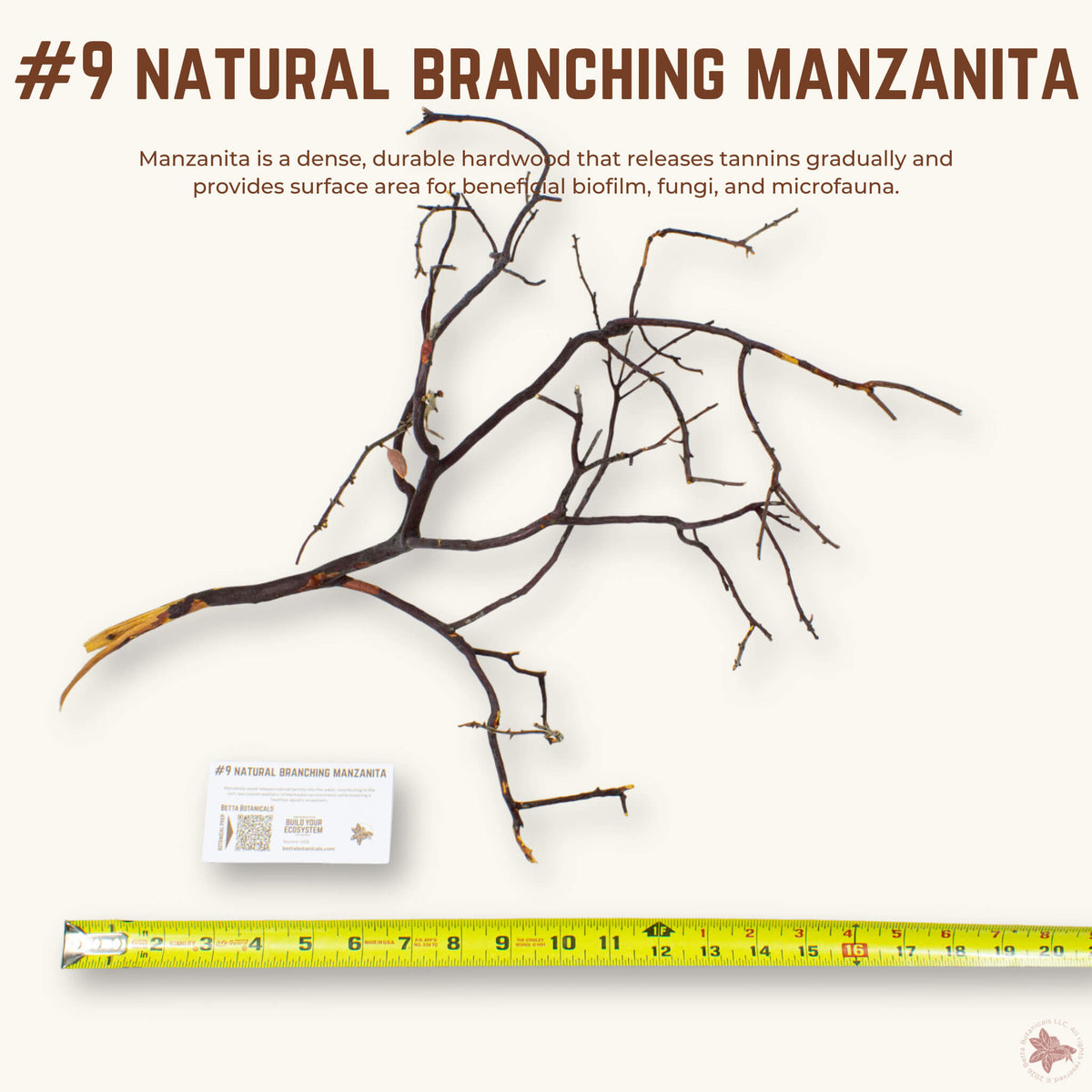 Natural Branching Manzanita | WYSIWYG Pieces