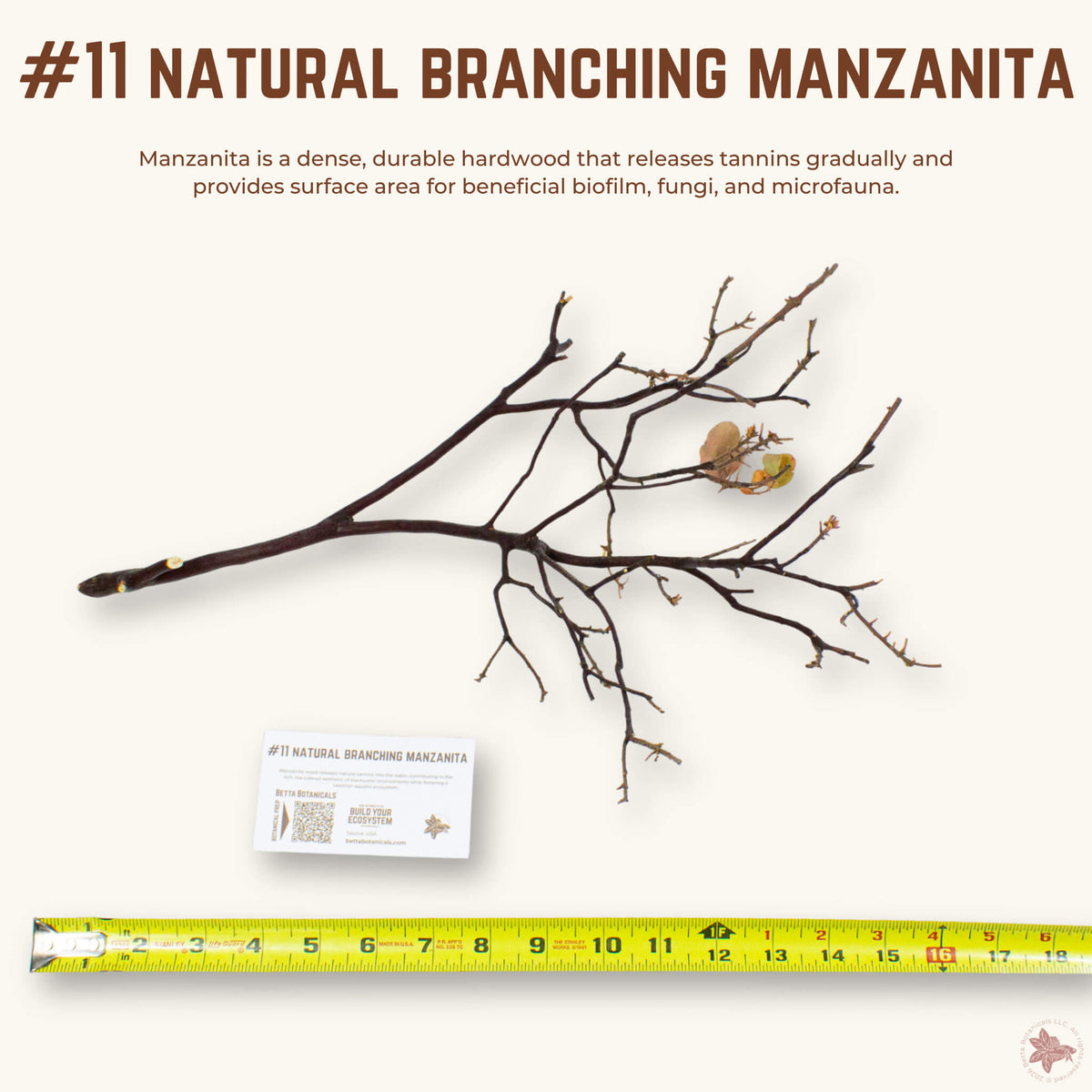 Natural Branching Manzanita | WYSIWYG Pieces