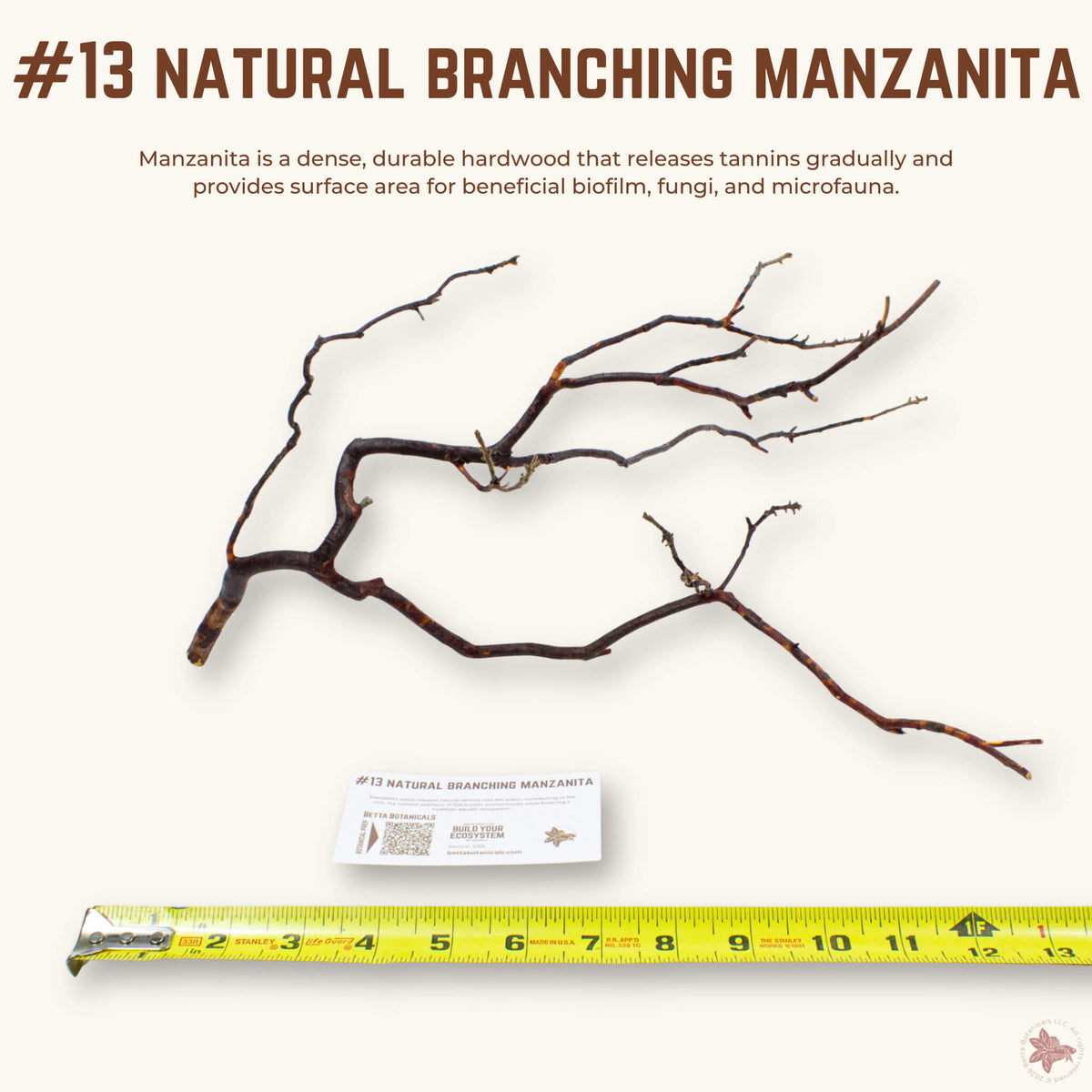 Natural Branching Manzanita | WYSIWYG Pieces