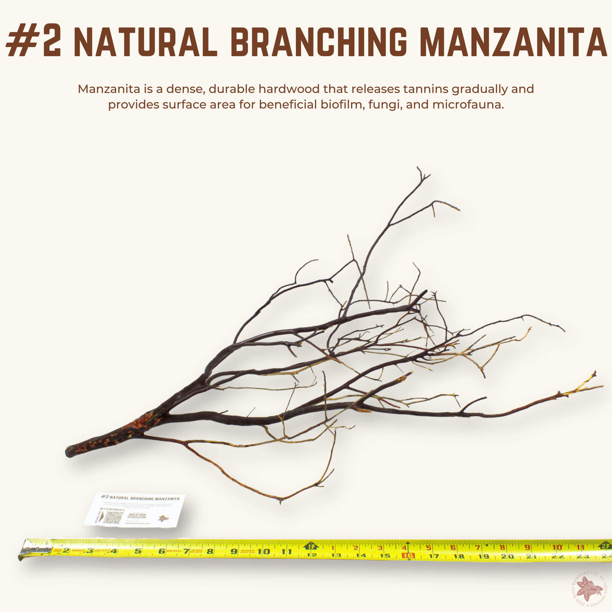 Natural Branching Manzanita | WYSIWYG Pieces