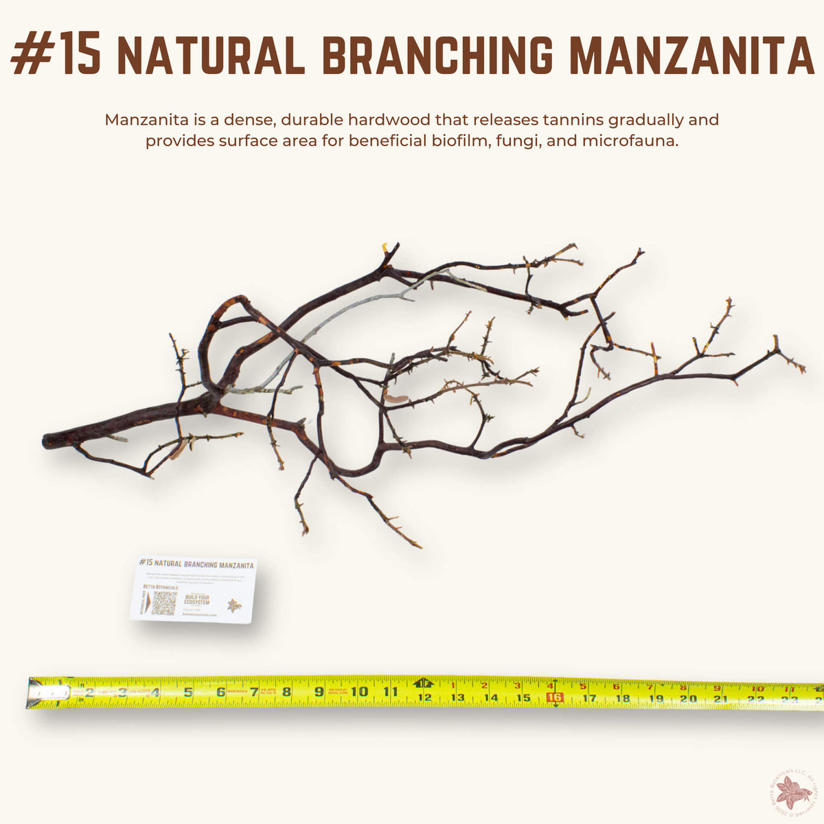 Natural Branching Manzanita | WYSIWYG Pieces