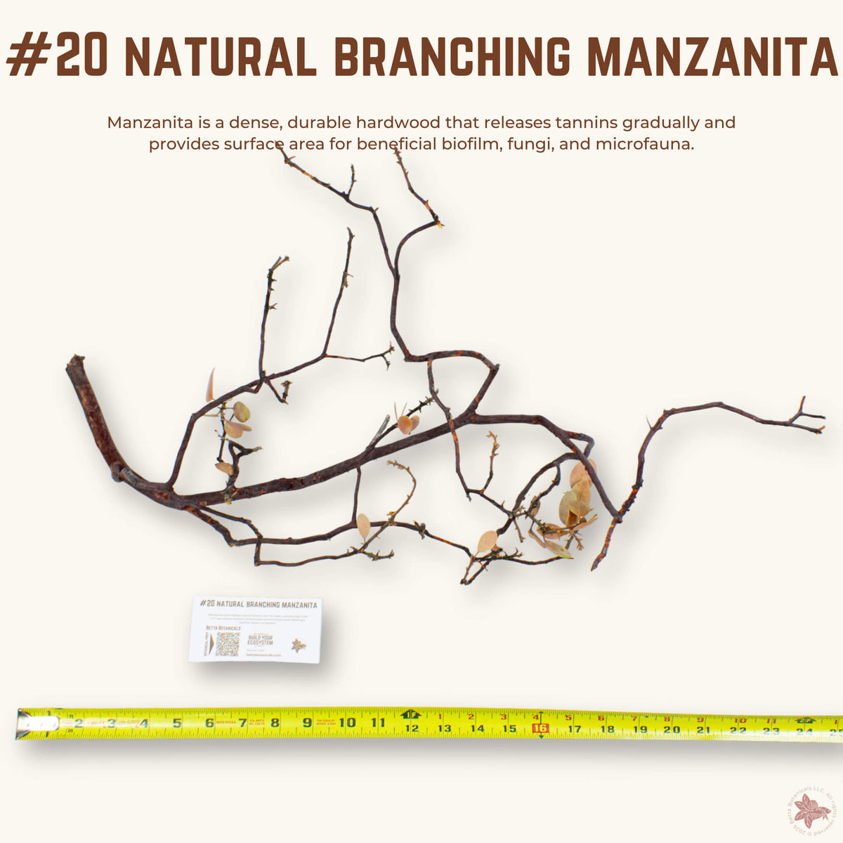 Natural Branching Manzanita | WYSIWYG Pieces