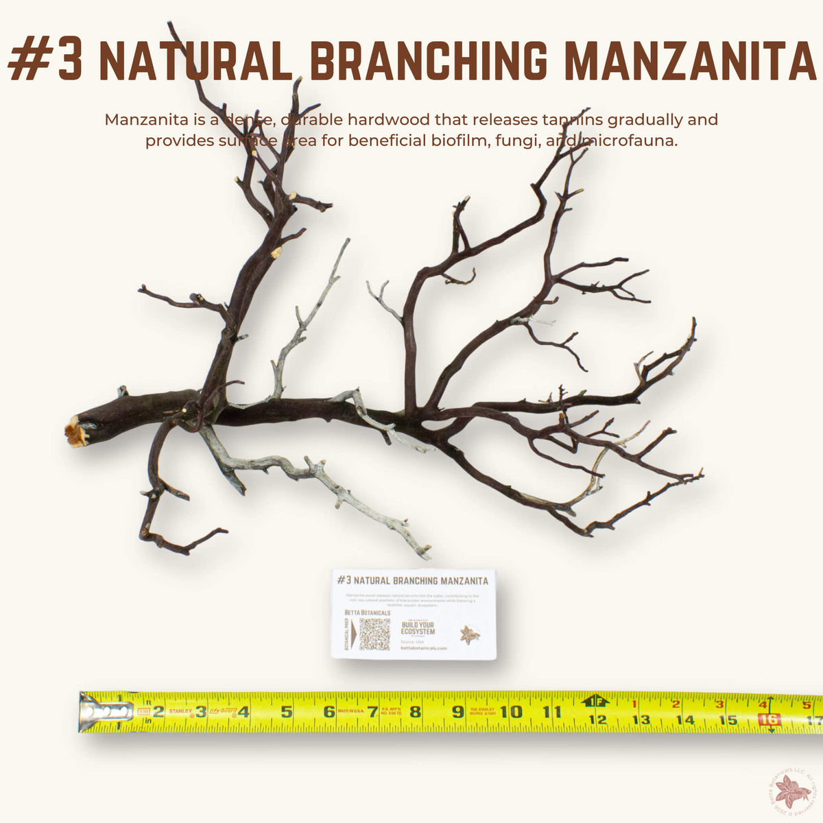 Natural Branching Manzanita | WYSIWYG Pieces