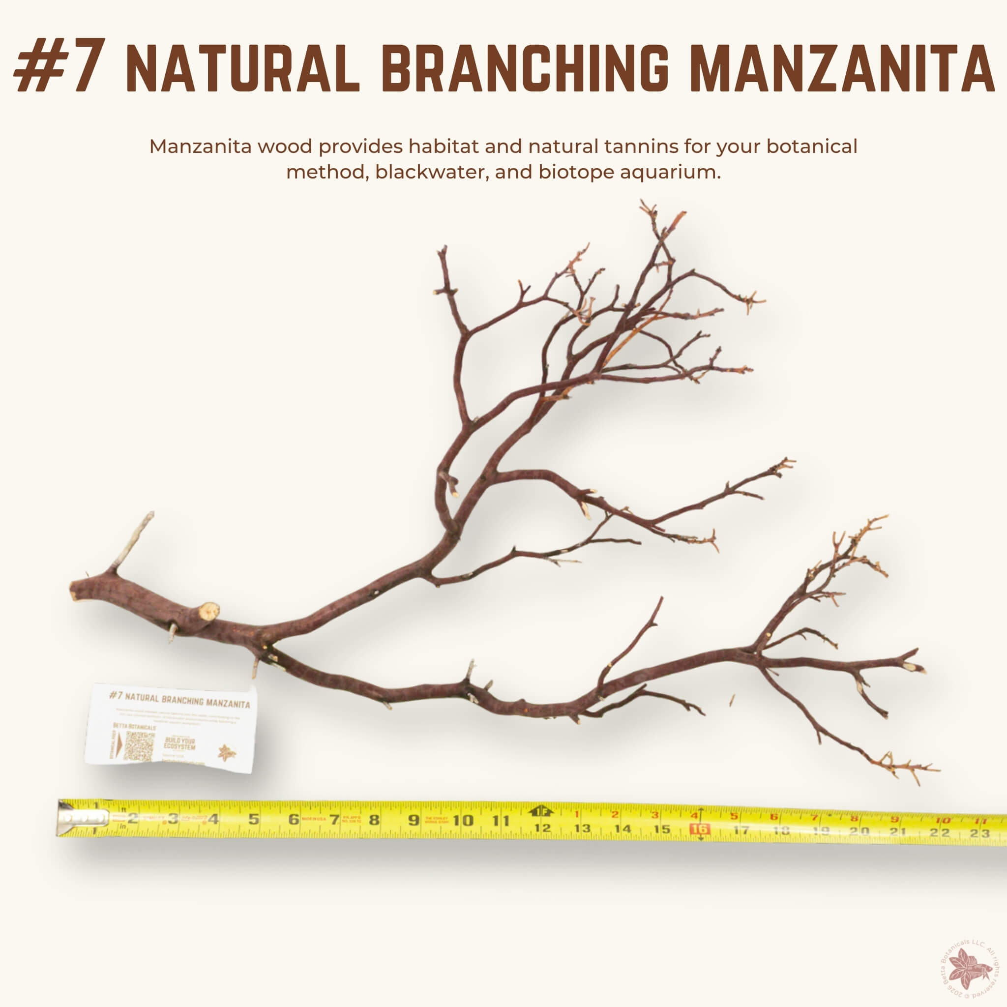 Natural Branching Manzanita | WYSIWYG Pieces