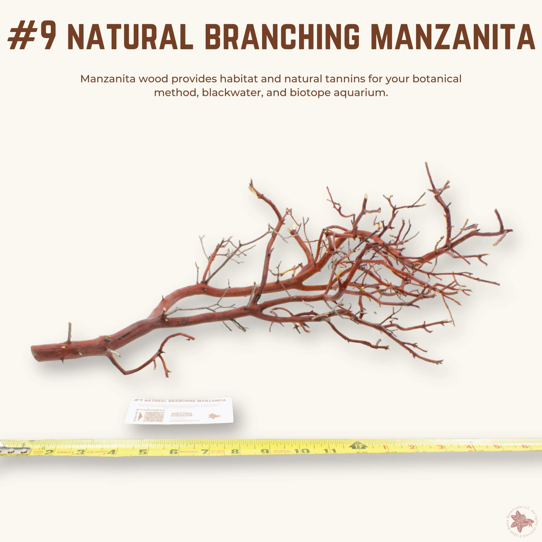 Natural Branching Manzanita | WYSIWYG Pieces