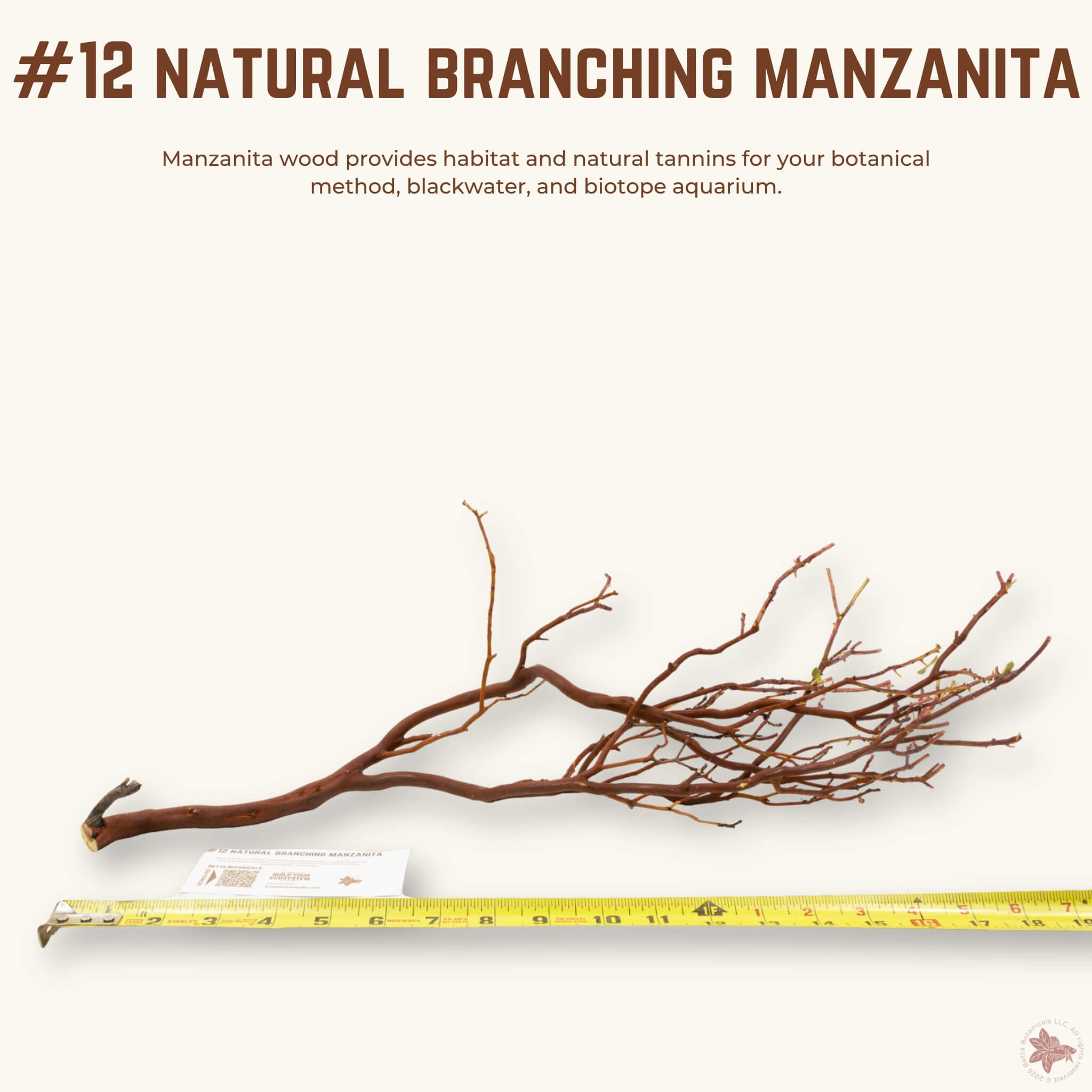 Natural Branching Manzanita | WYSIWYG Pieces