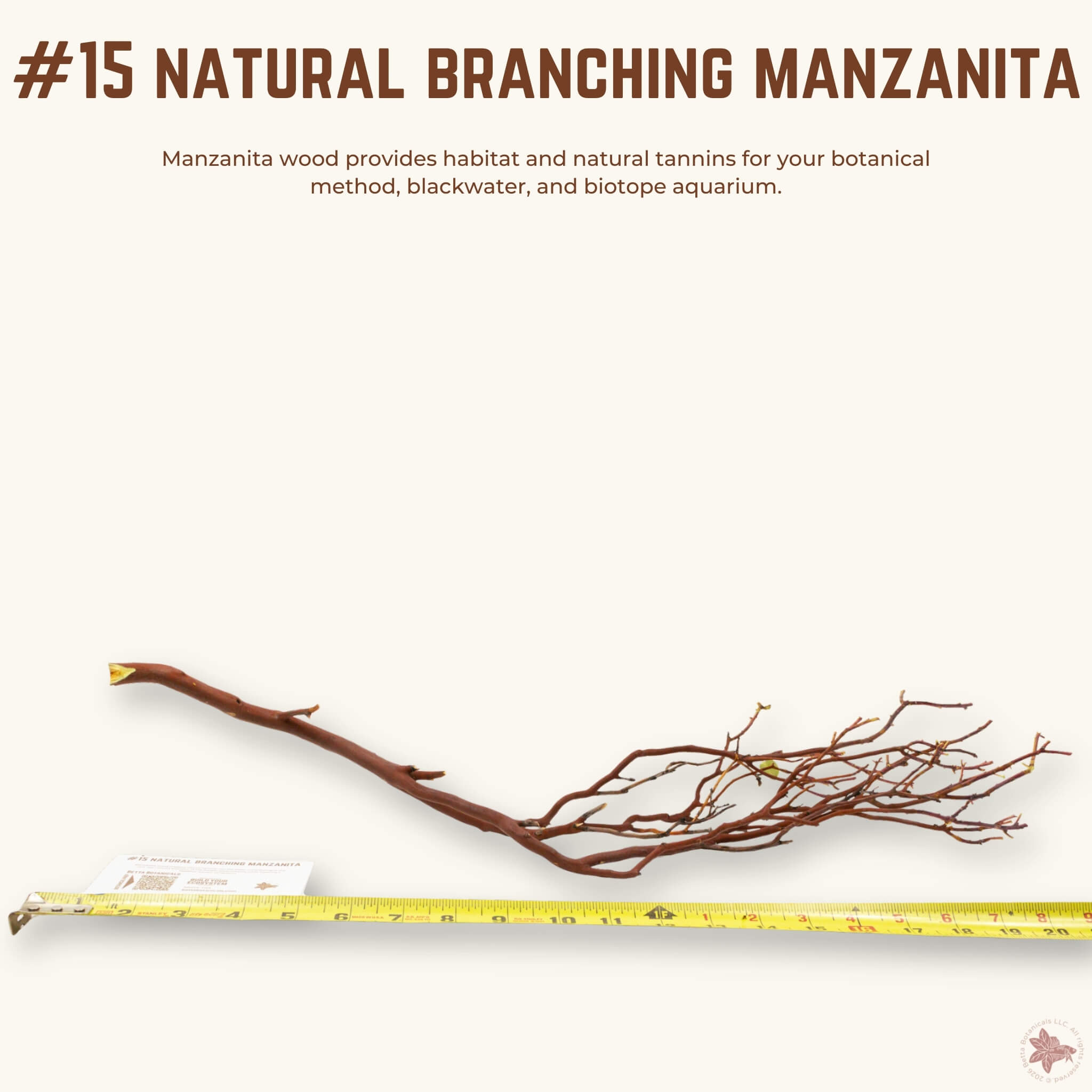 Natural Branching Manzanita | WYSIWYG Pieces