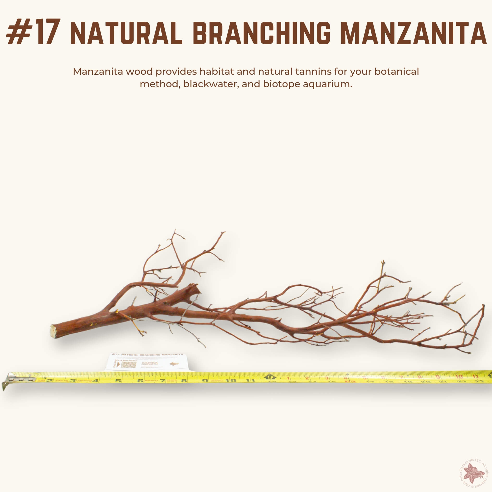 Natural Branching Manzanita | WYSIWYG Pieces