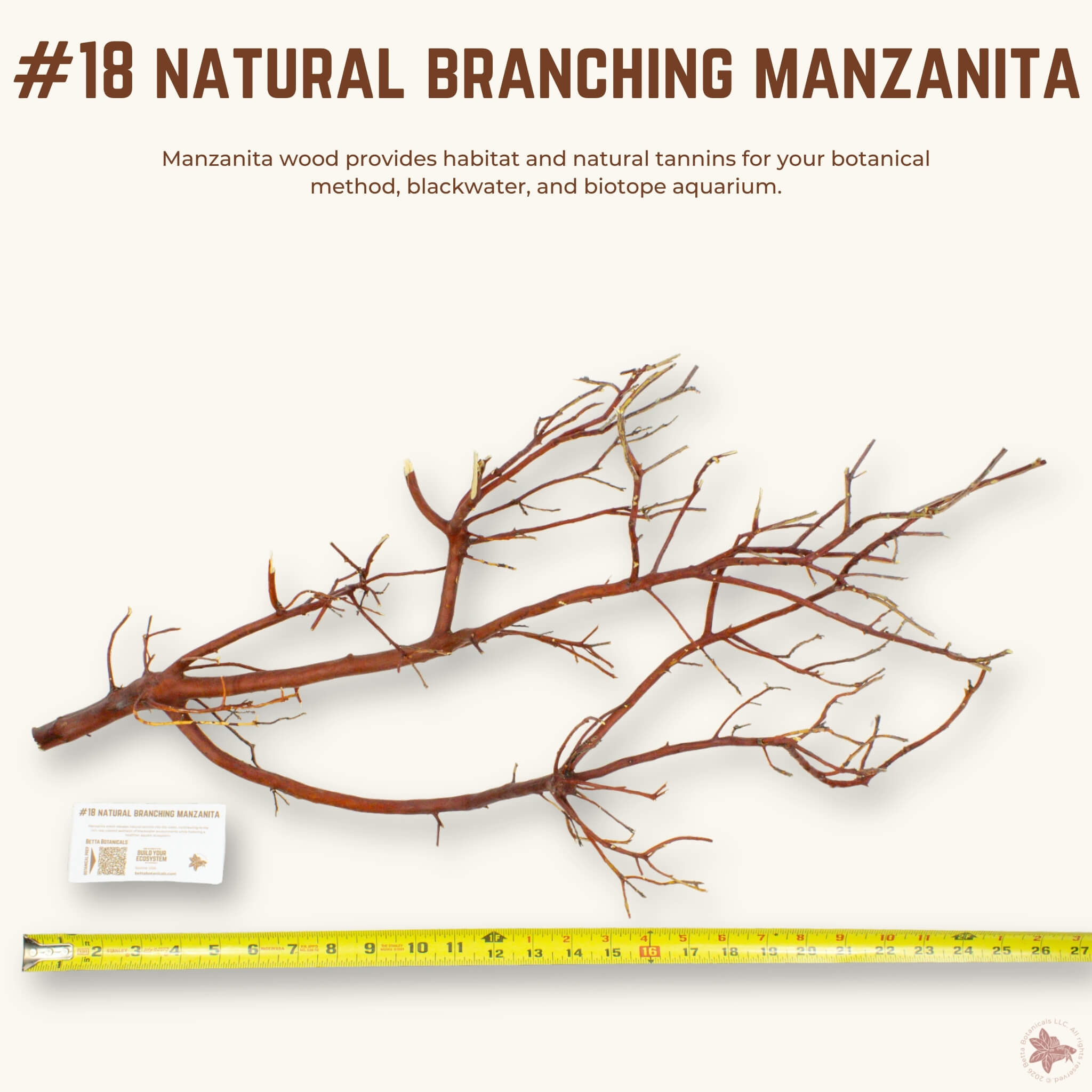 Natural Branching Manzanita | WYSIWYG Pieces