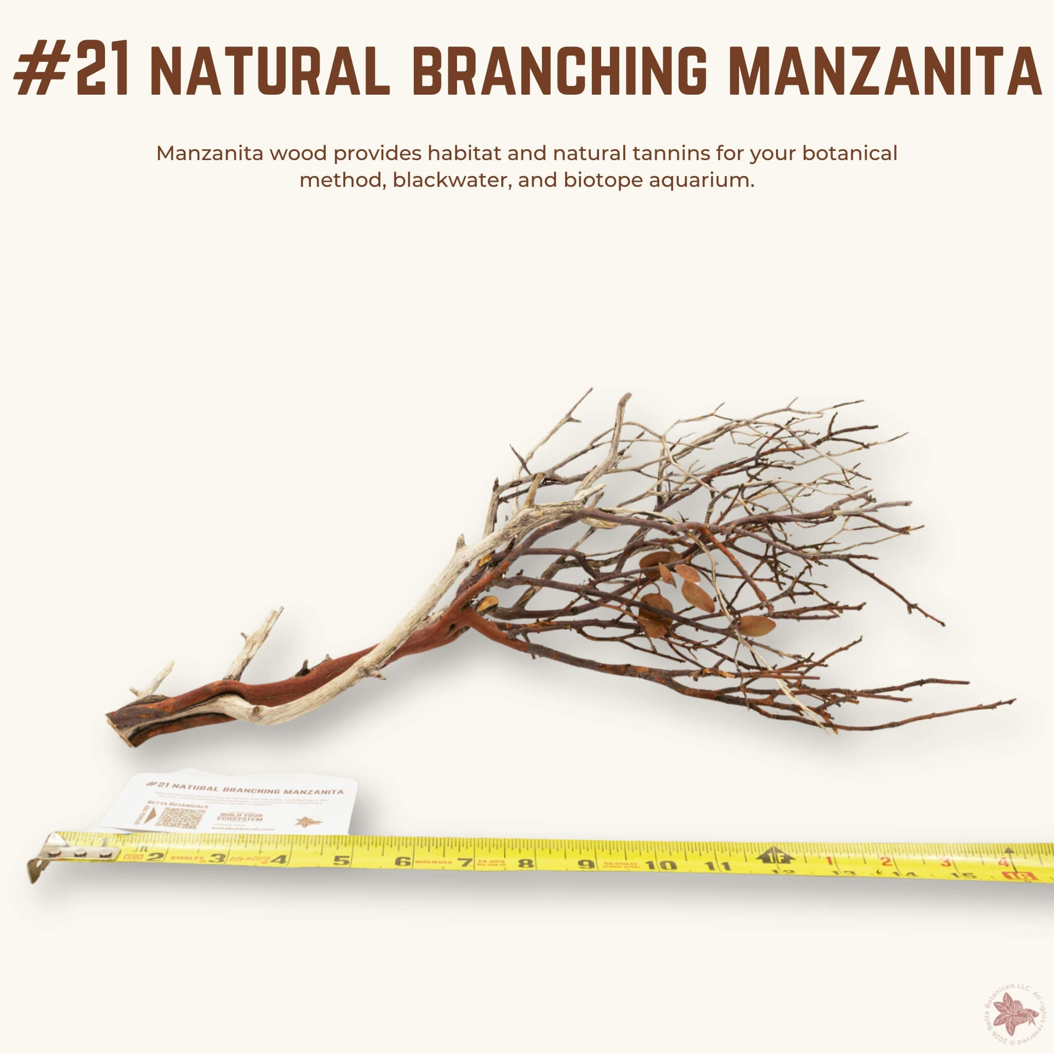 Natural Branching Manzanita | WYSIWYG Pieces