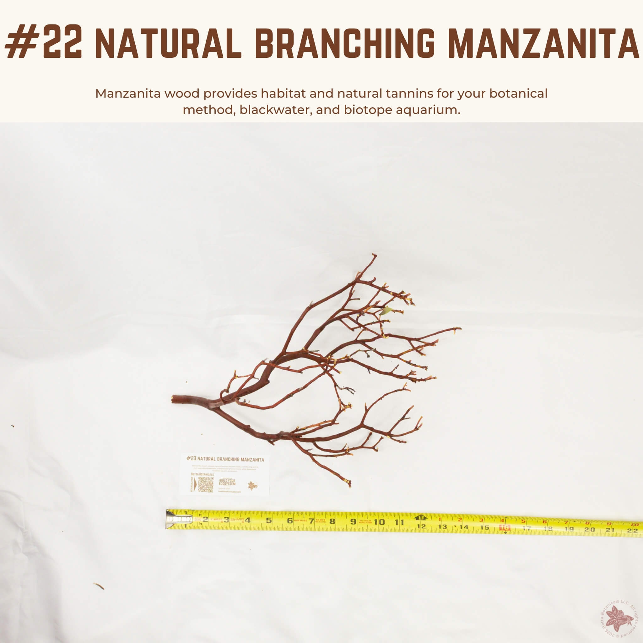 Natural Branching Manzanita | WYSIWYG Pieces