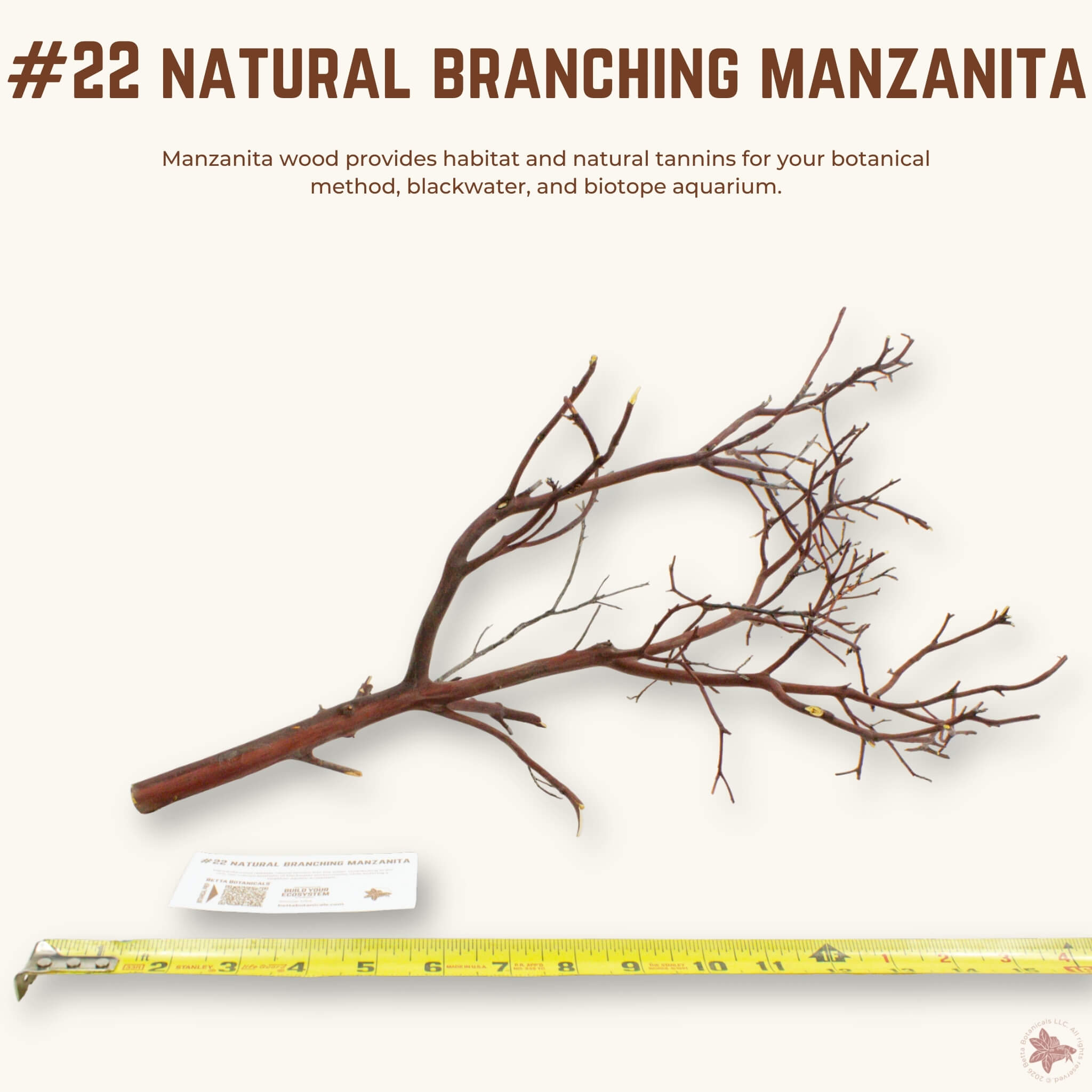 Natural Branching Manzanita | WYSIWYG Pieces