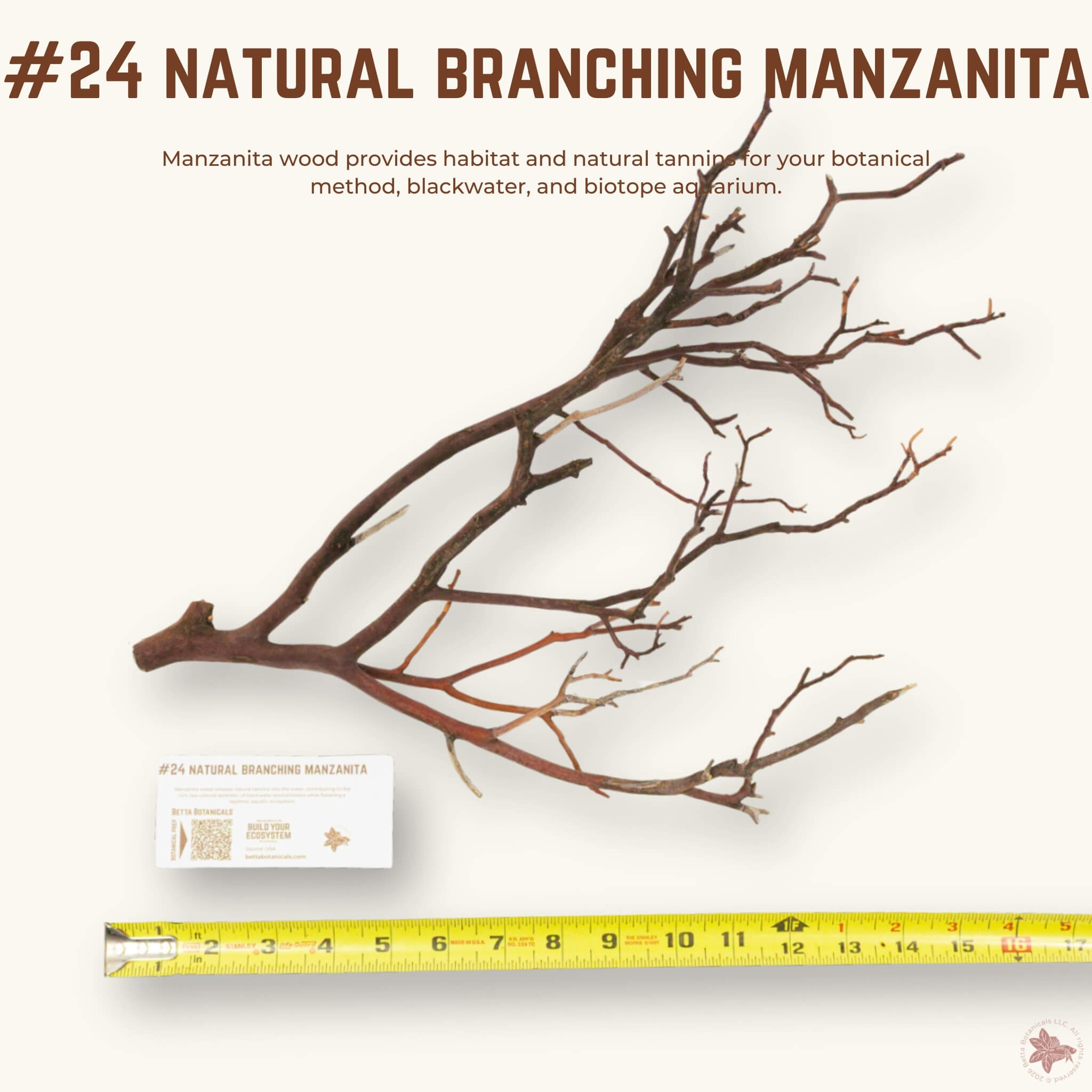 Natural Branching Manzanita | WYSIWYG Pieces