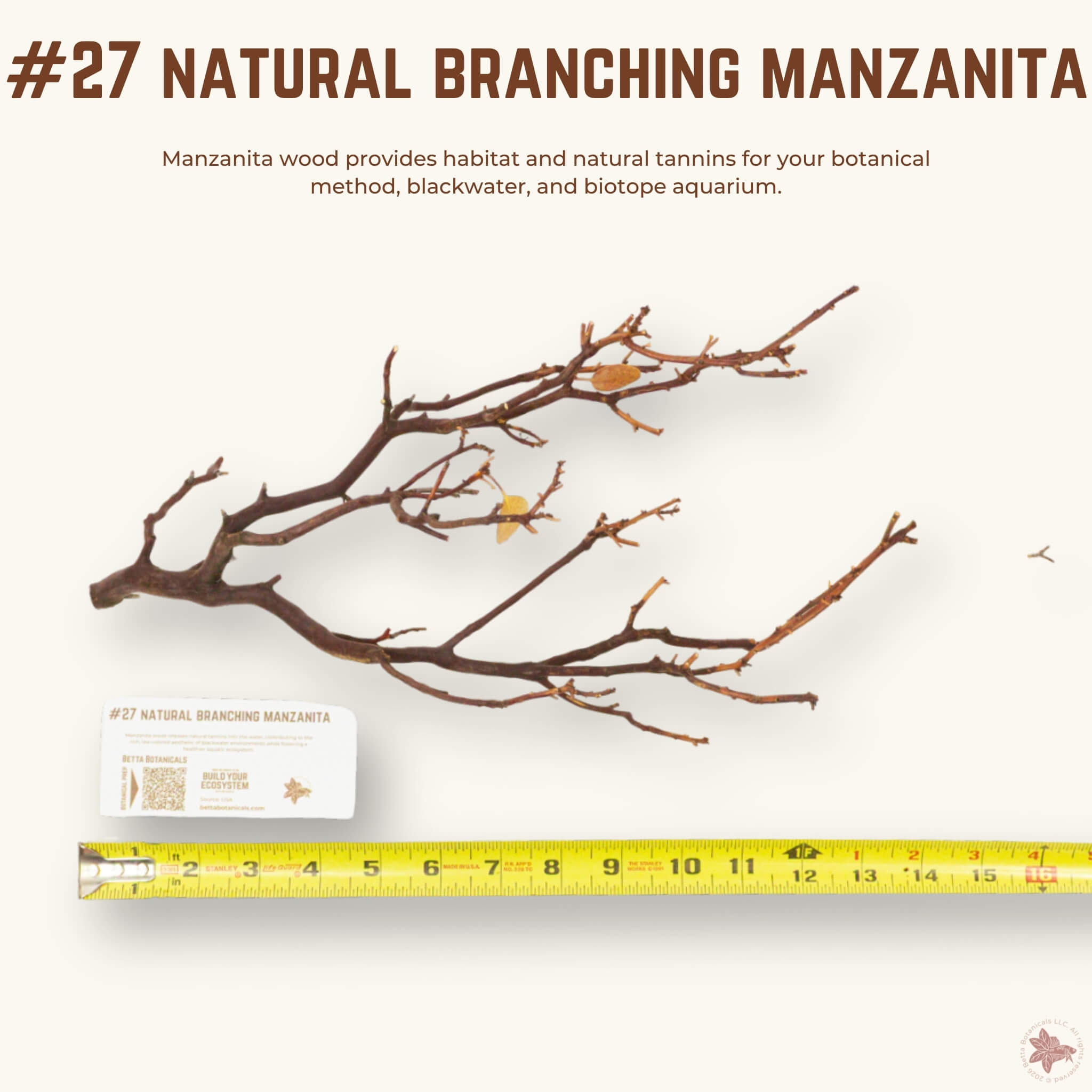 Natural Branching Manzanita | WYSIWYG Pieces