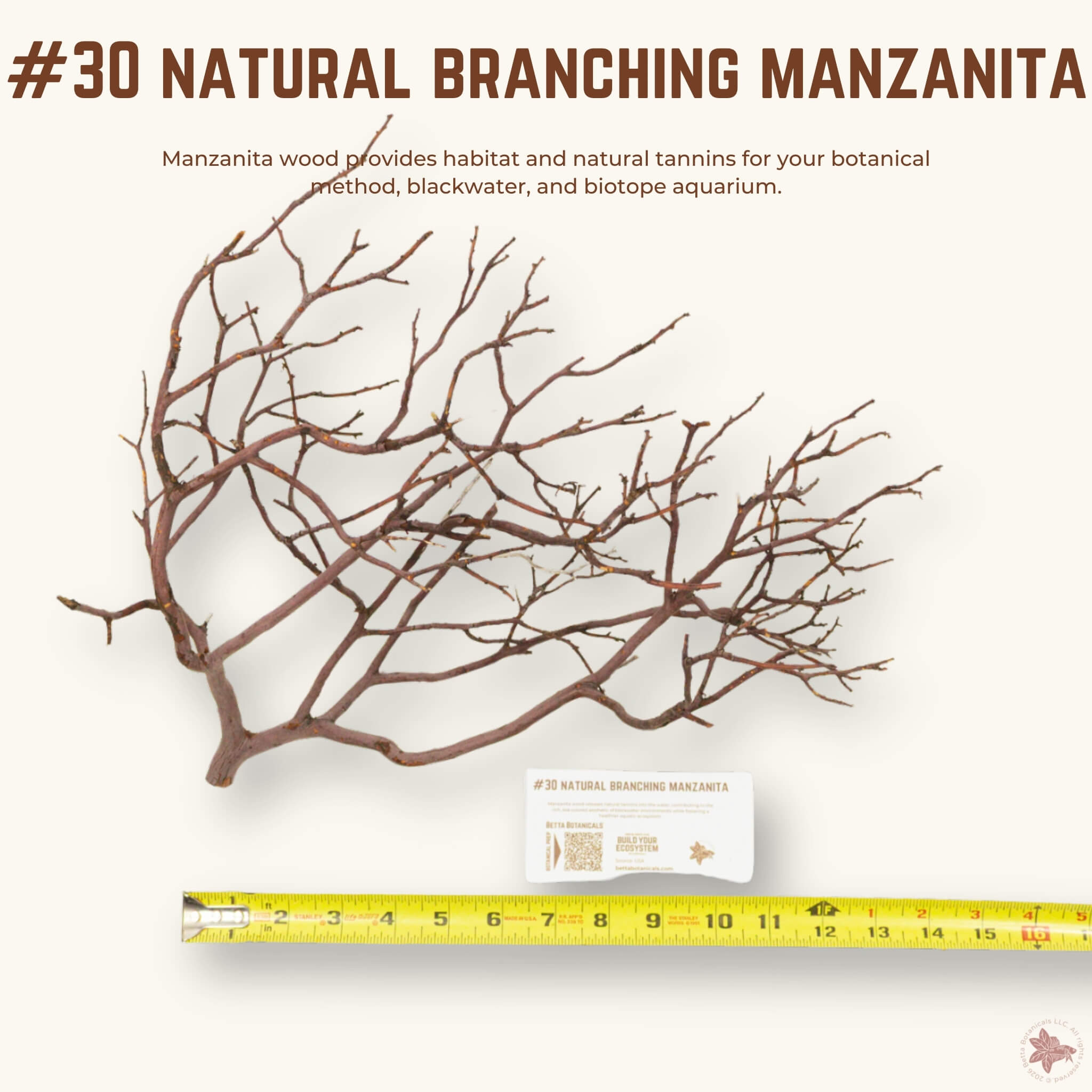Natural Branching Manzanita | WYSIWYG Pieces