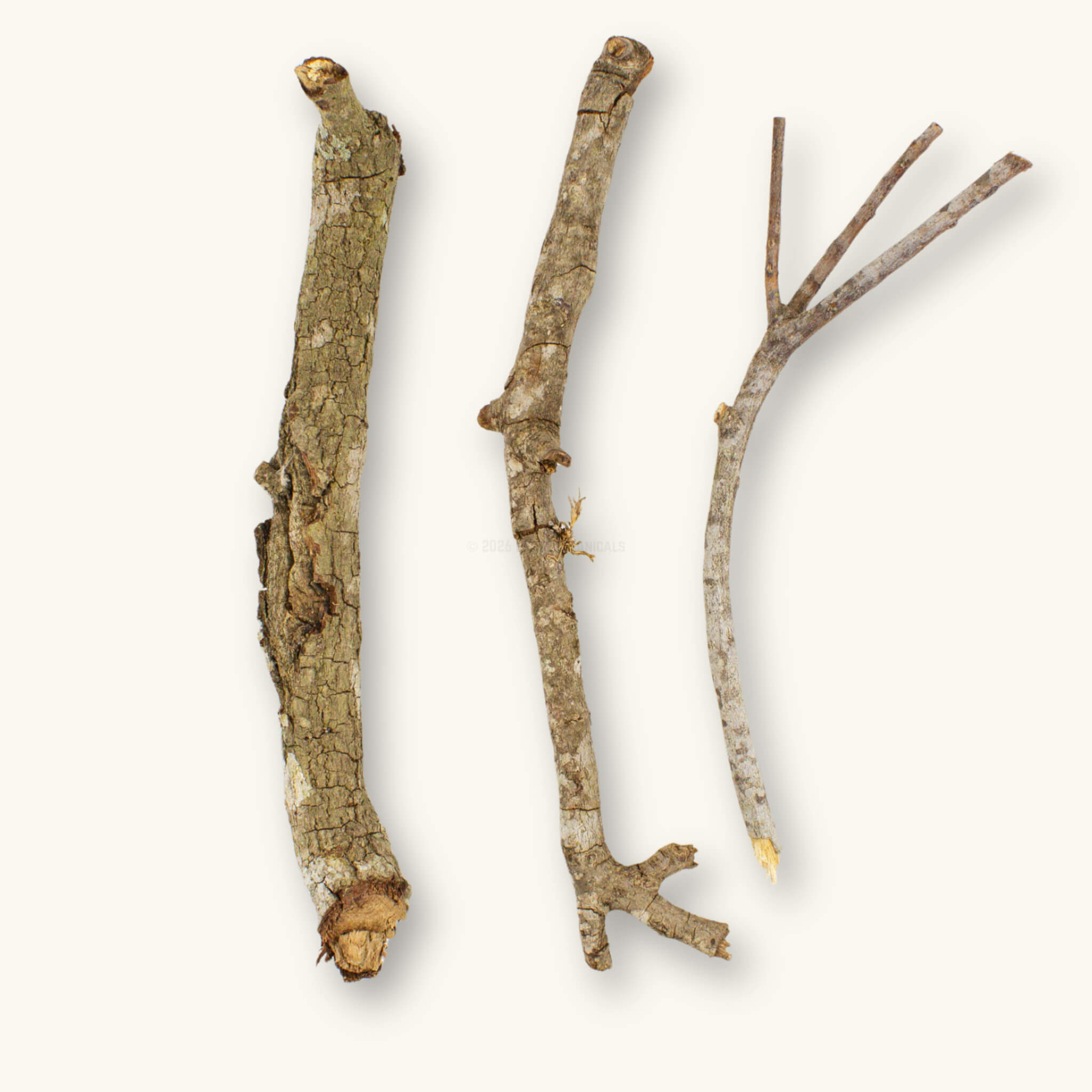 Three oak sticks for aquariums with cracked bark and lichens, showing the woody stems to build structure and refuge in a blackwater aquarium, photographed on a natural background at Betta Botanicals.