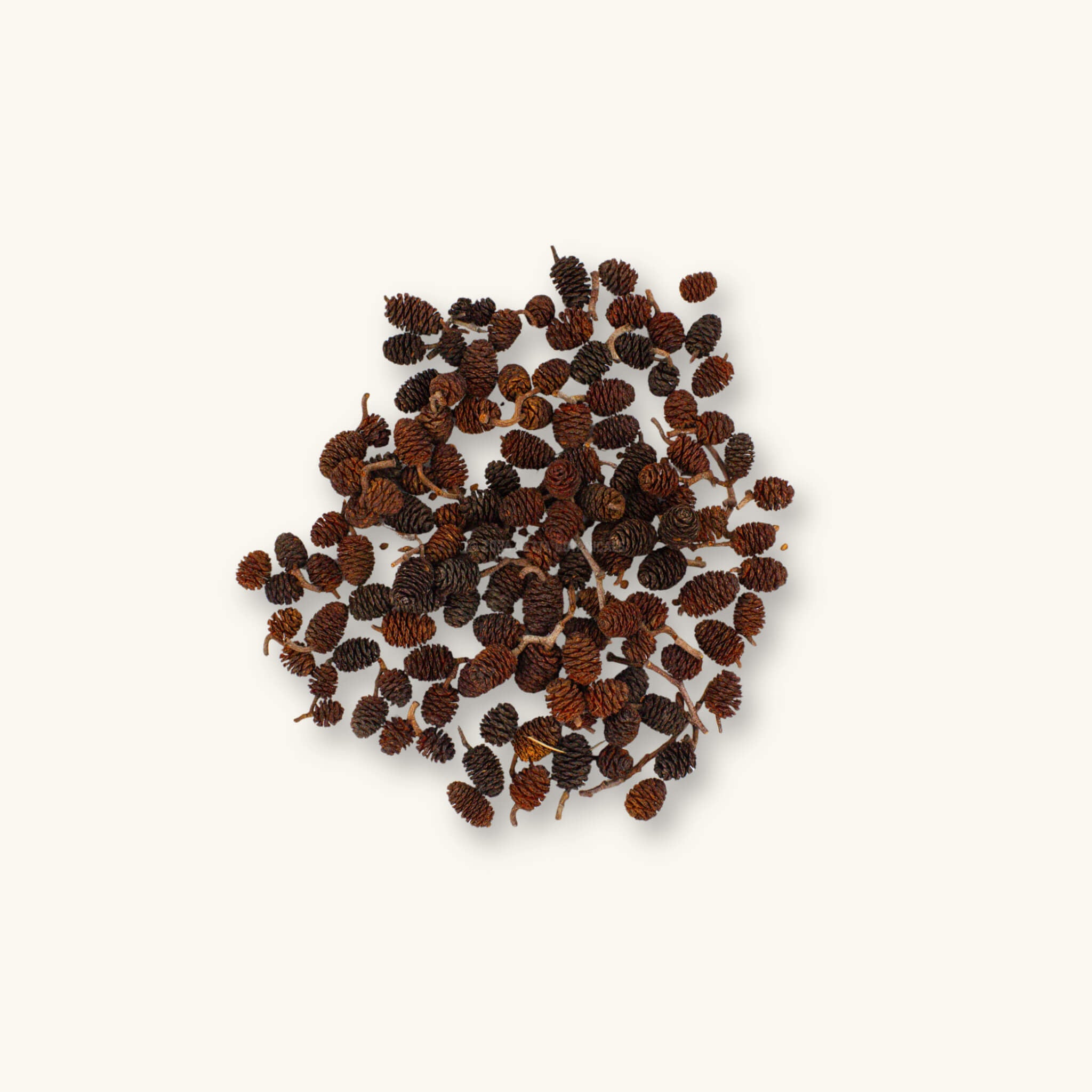 A flat lay of fourty five grams of brown and tan siberian alder cones for shrimp aquariums, photographed on a natural background at Betta Botanicals.