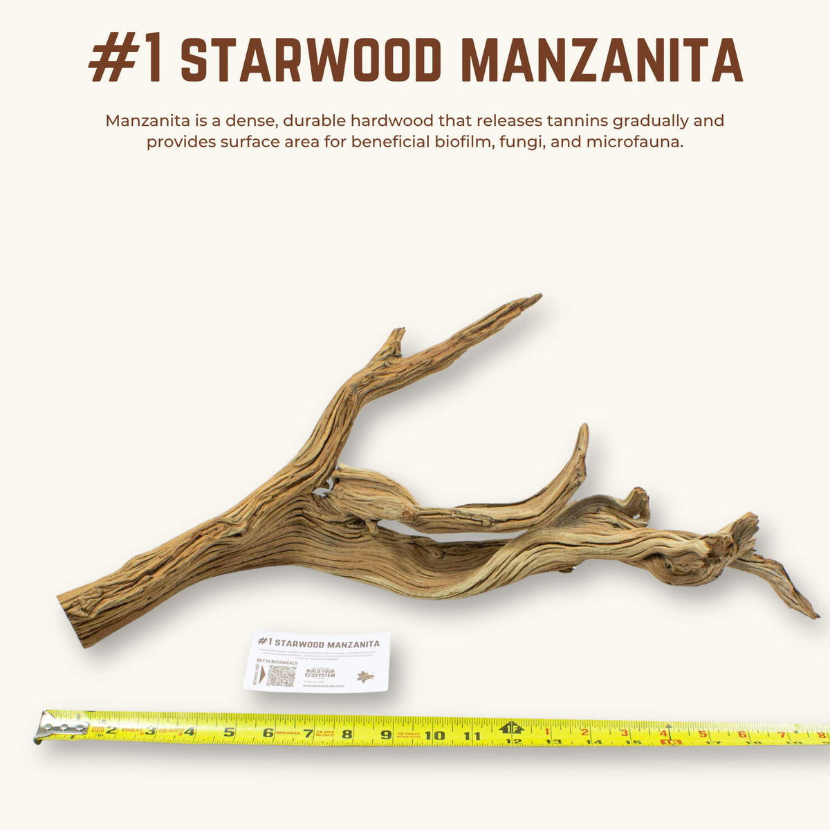 Starwood Manzanita | WYSIWYG Pieces