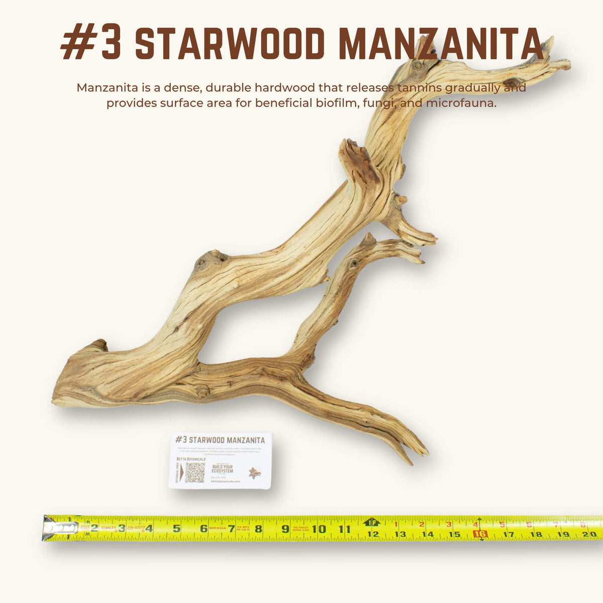 Starwood Manzanita | WYSIWYG Pieces