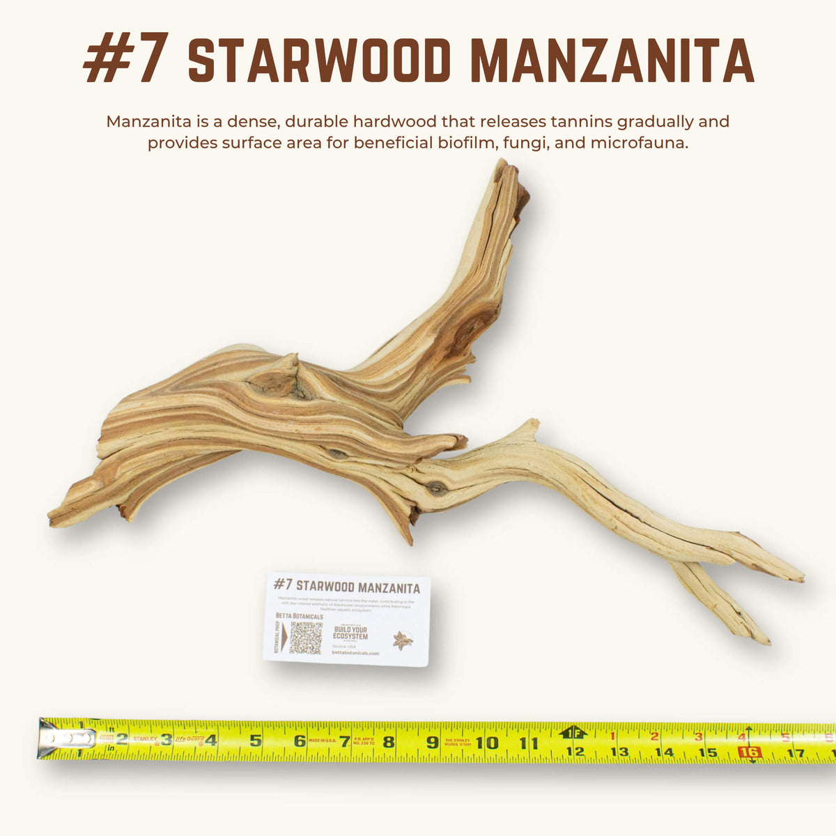 Starwood Manzanita | WYSIWYG Pieces
