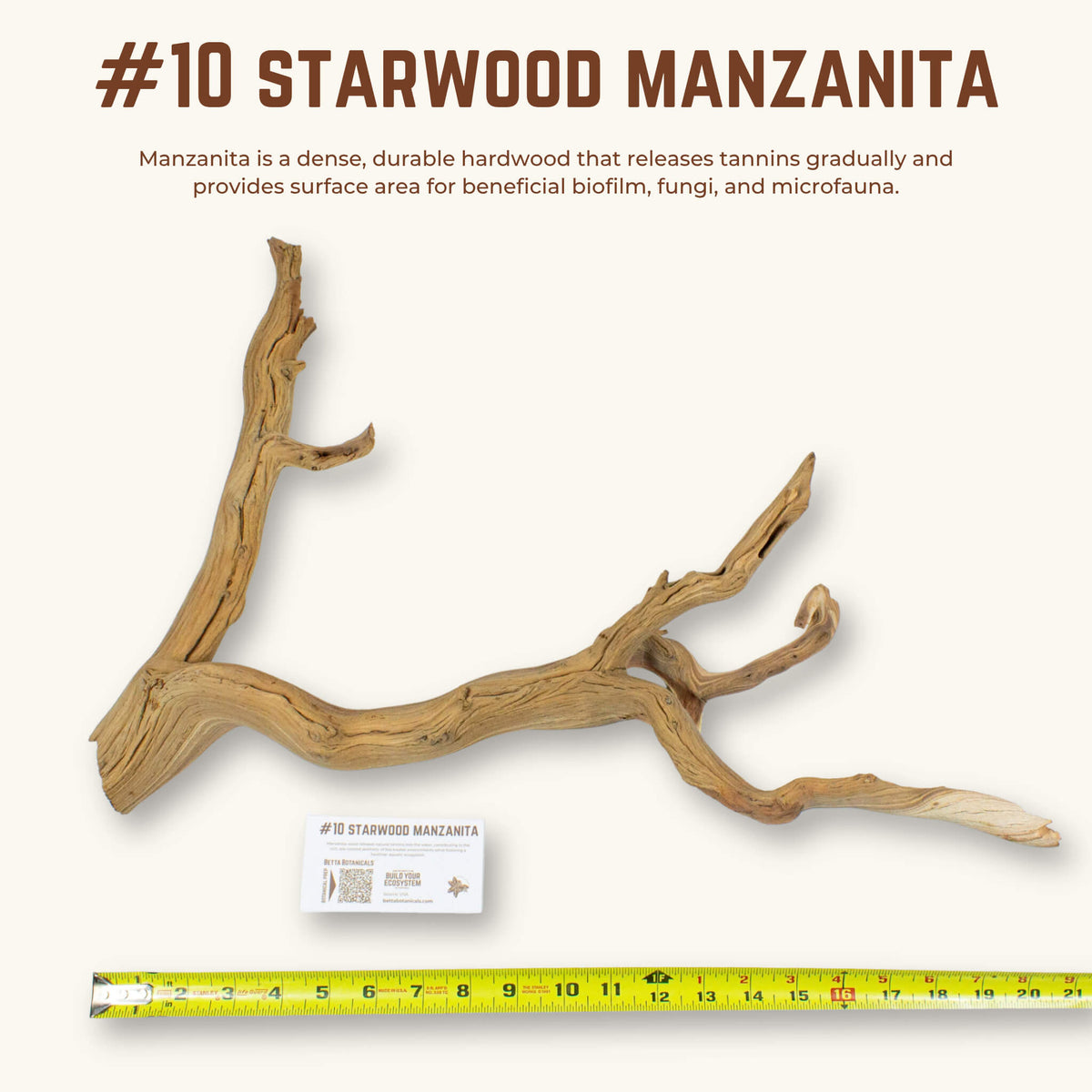 Starwood Manzanita | WYSIWYG Pieces