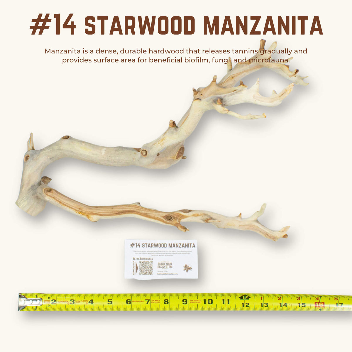 Starwood Manzanita | WYSIWYG Pieces